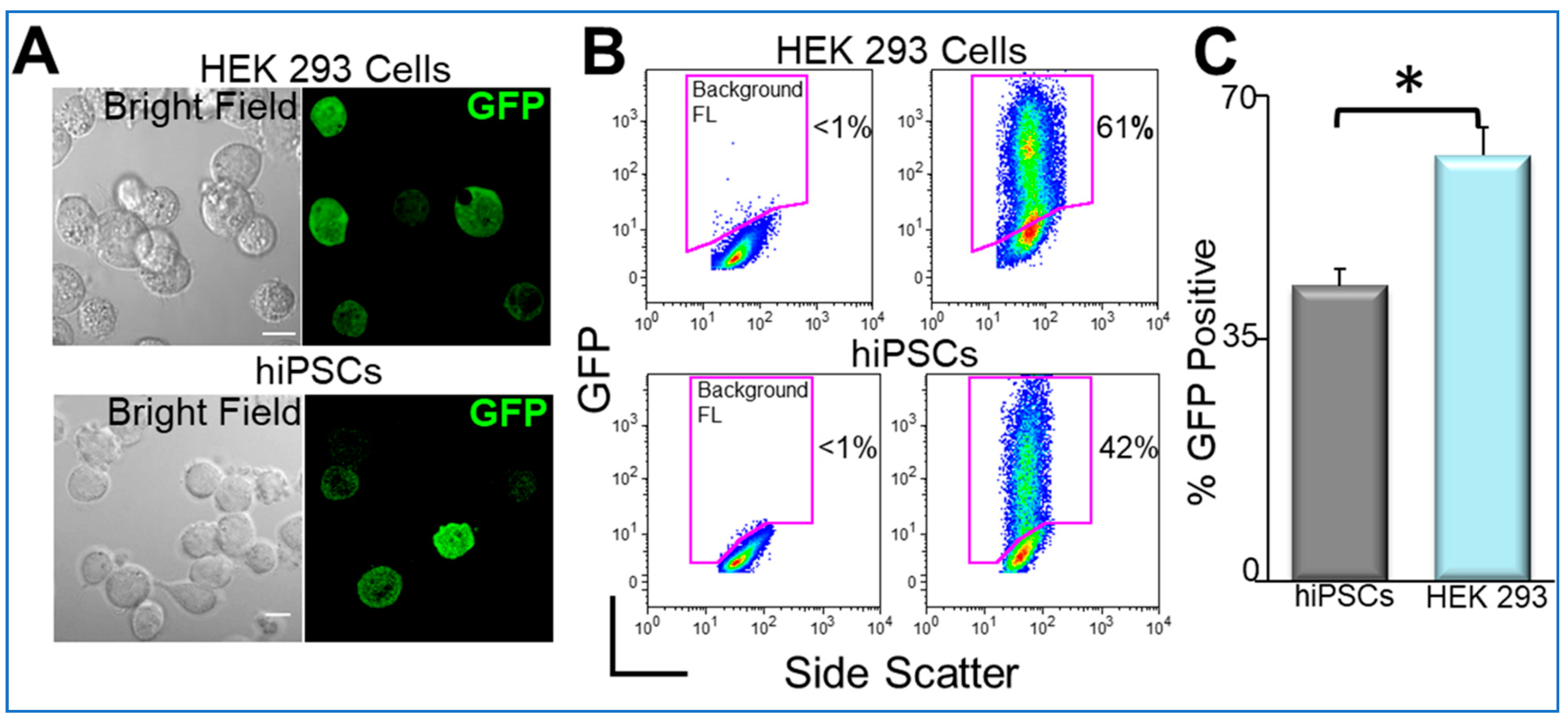Pharmaceuticals 14 00334 g007