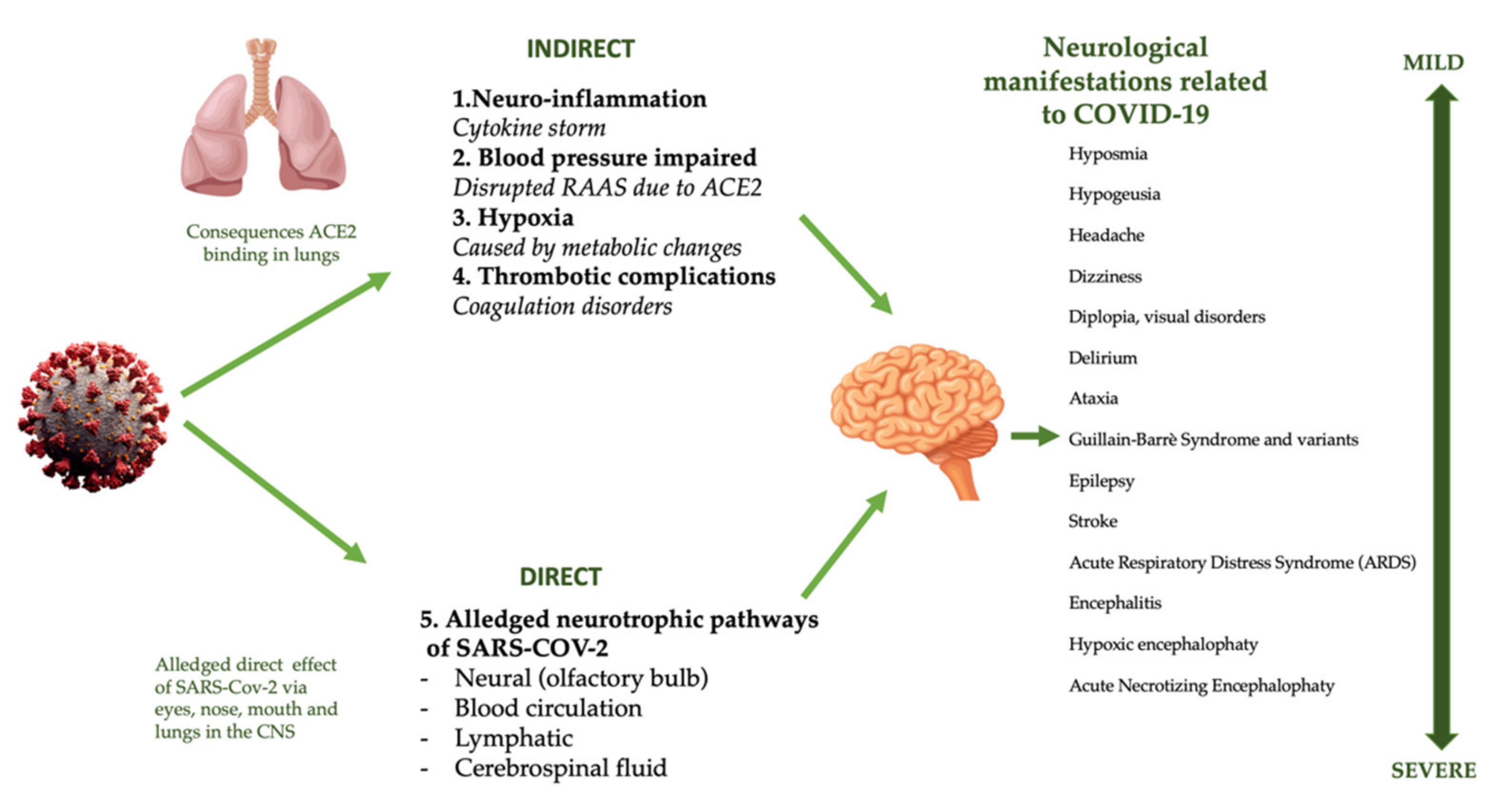 Pharmaceuticals Free Full Text Ultramicronized Palmitoylethanolamide Um Pea A New Possible Adjuvant Treatment In Covid 19 Patients Html