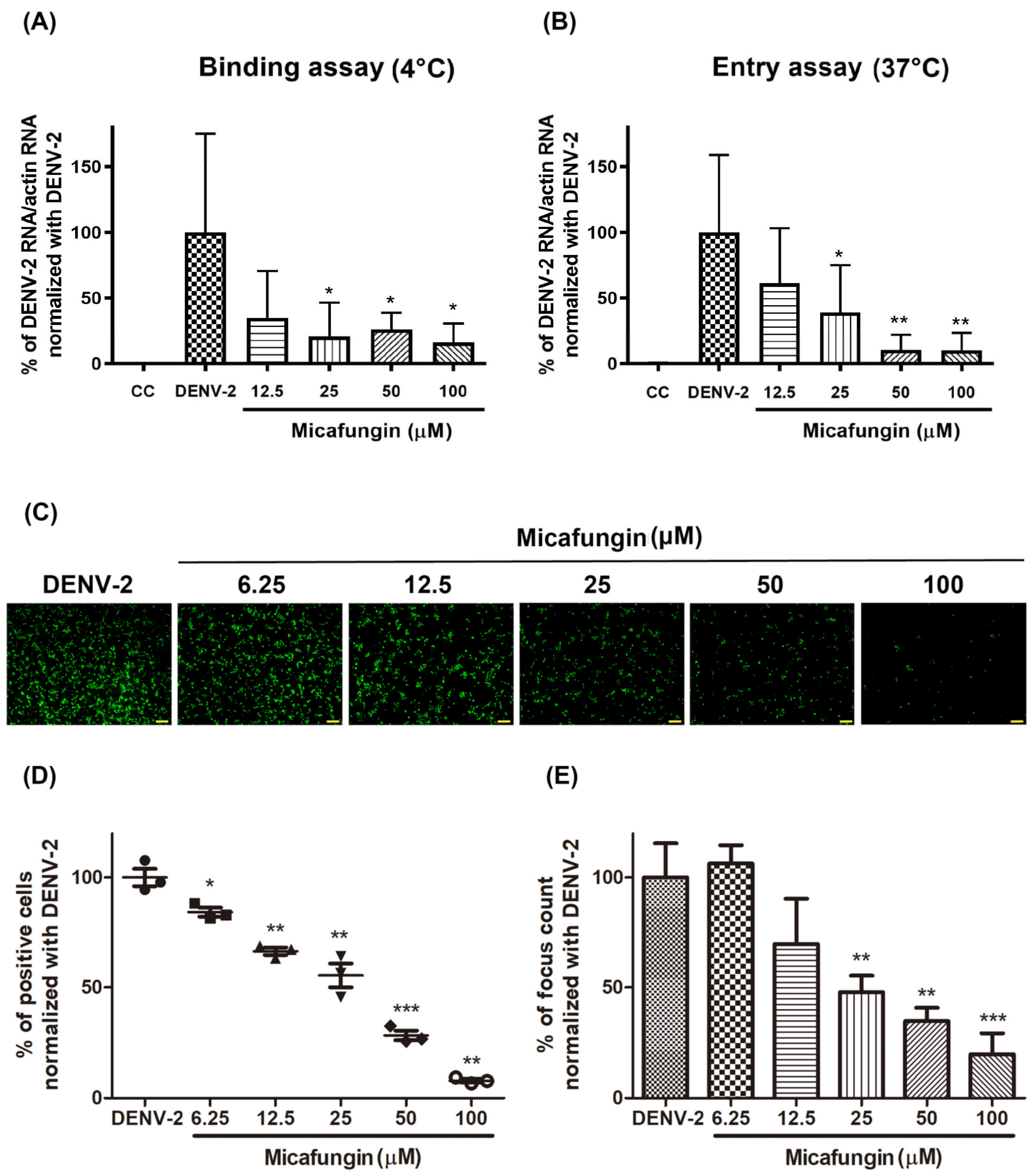 Pharmaceuticals 14 00338 g003