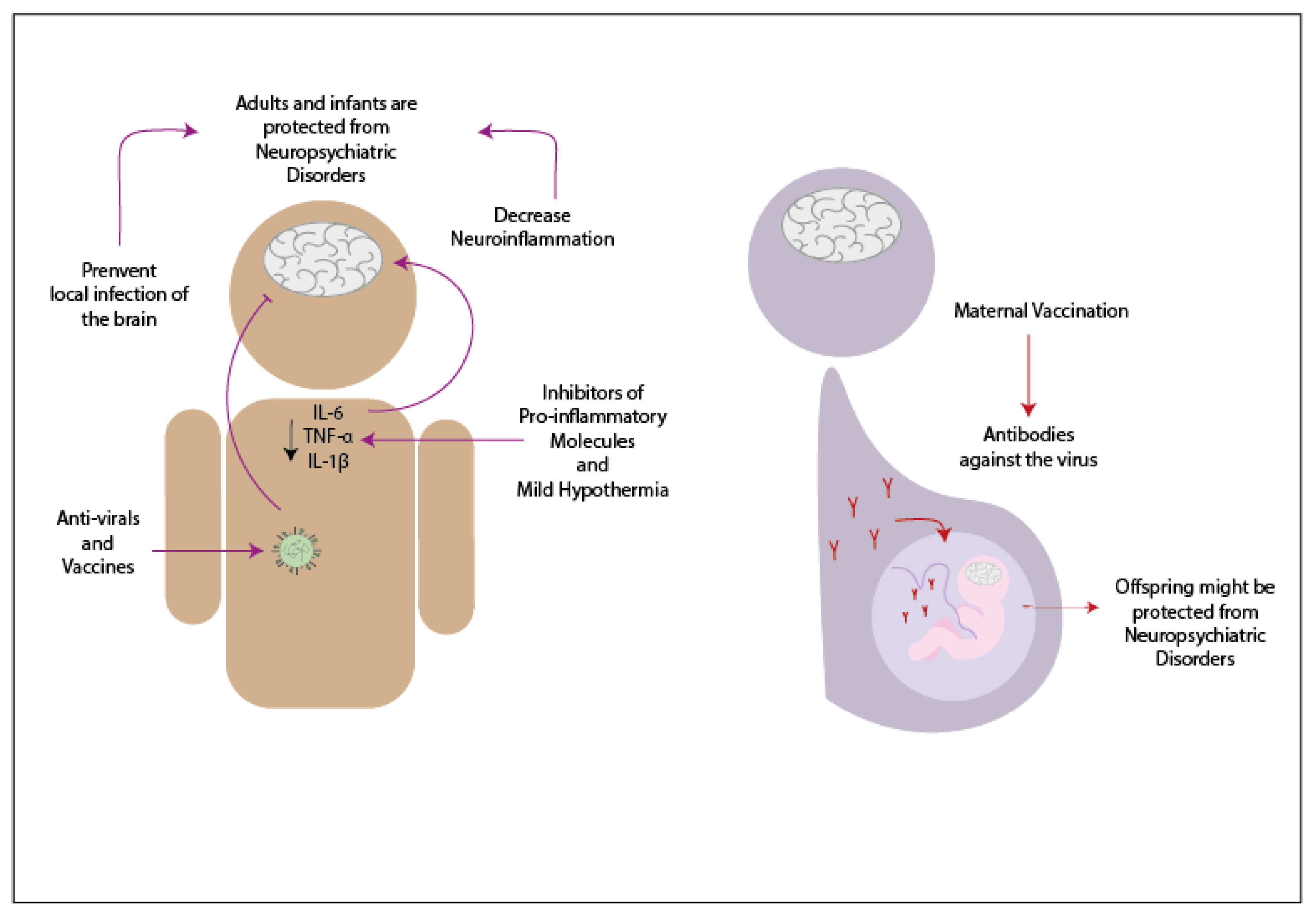 Pharmaceuticals 14 00340 g004 Pharmaceuticals 14 00340 g004