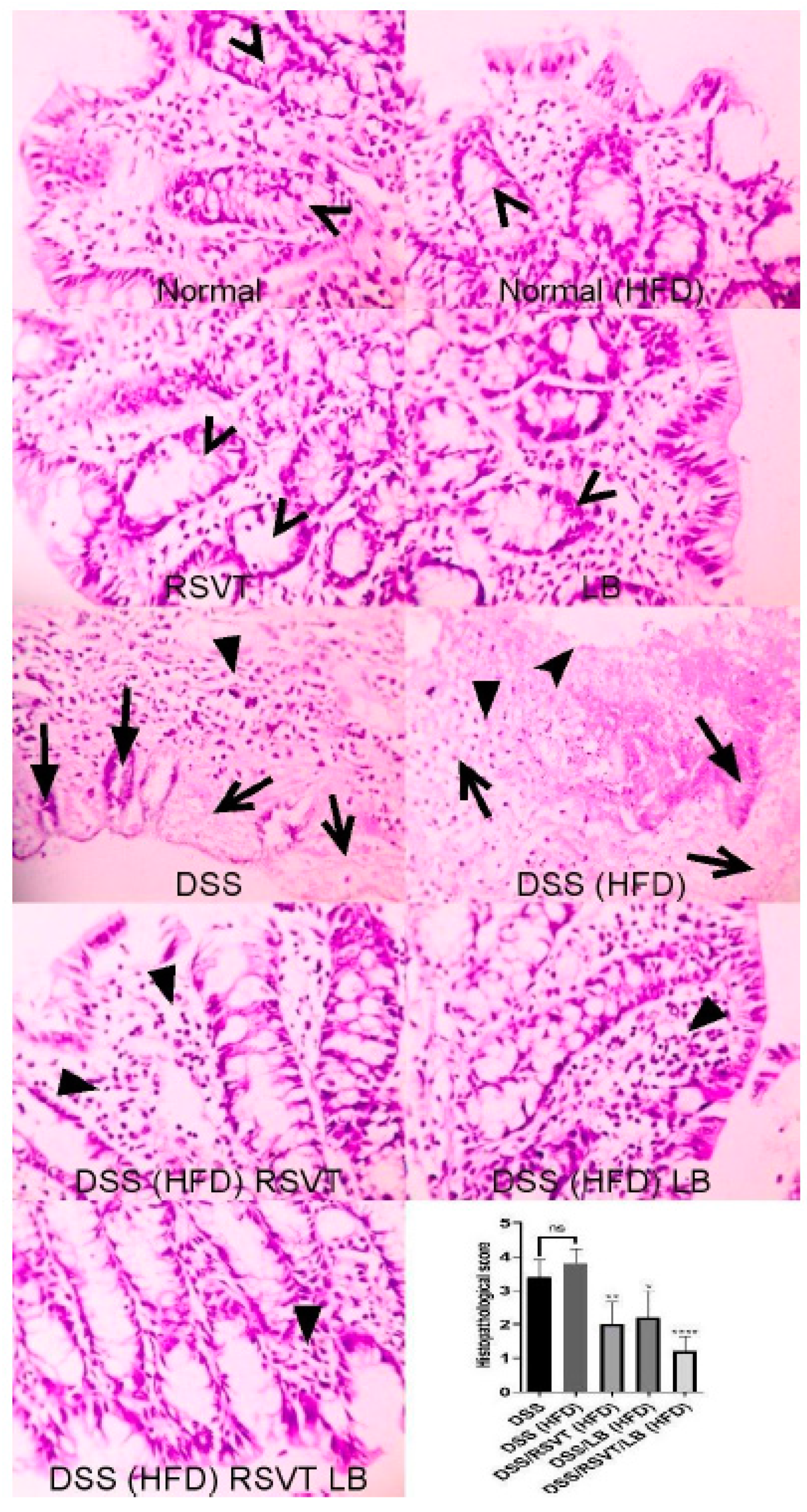 Pharmaceuticals 14 00341 g002 Pharmaceuticals 14 00341 g002