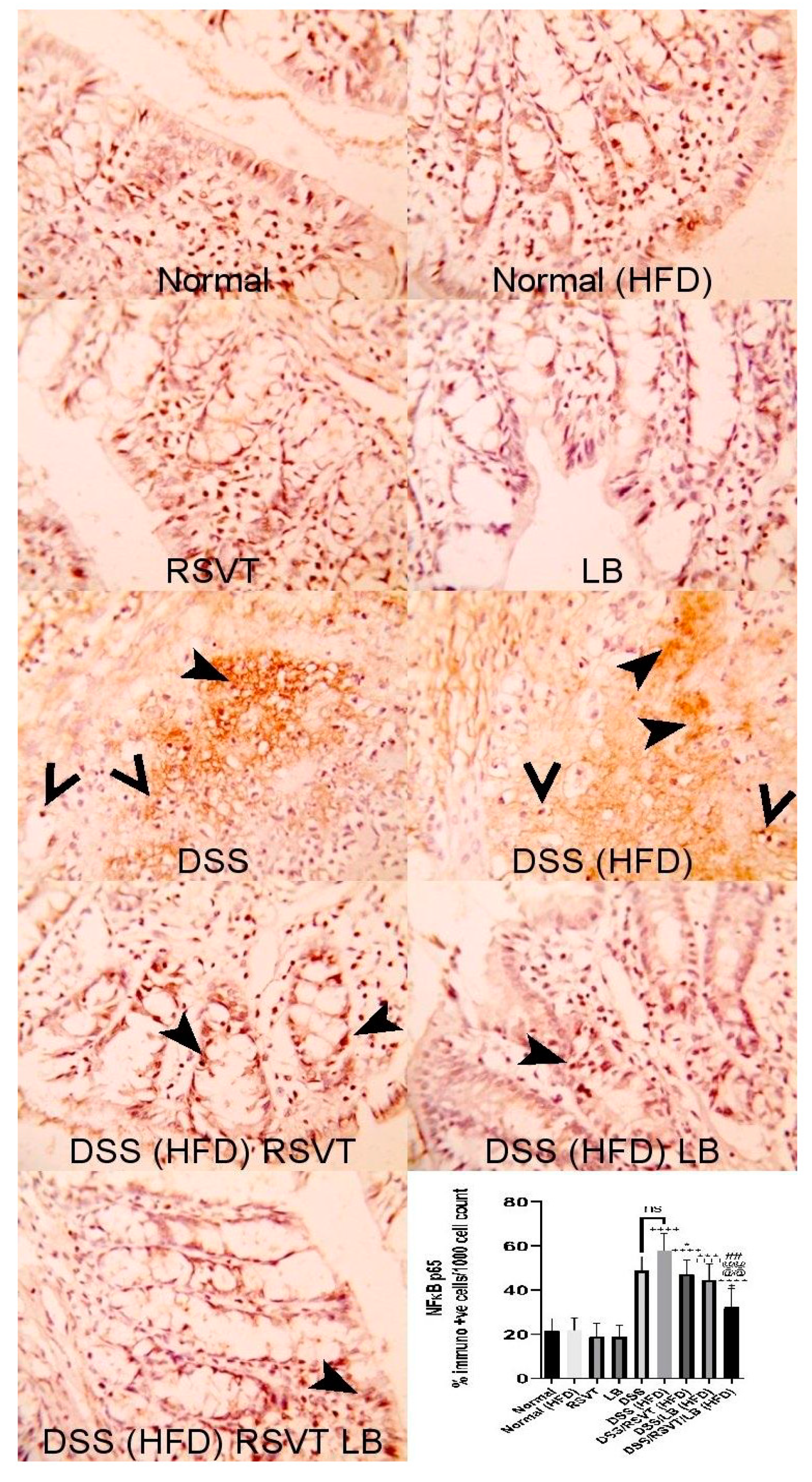 Pharmaceuticals 14 00341 g003 Pharmaceuticals 14 00341 g003