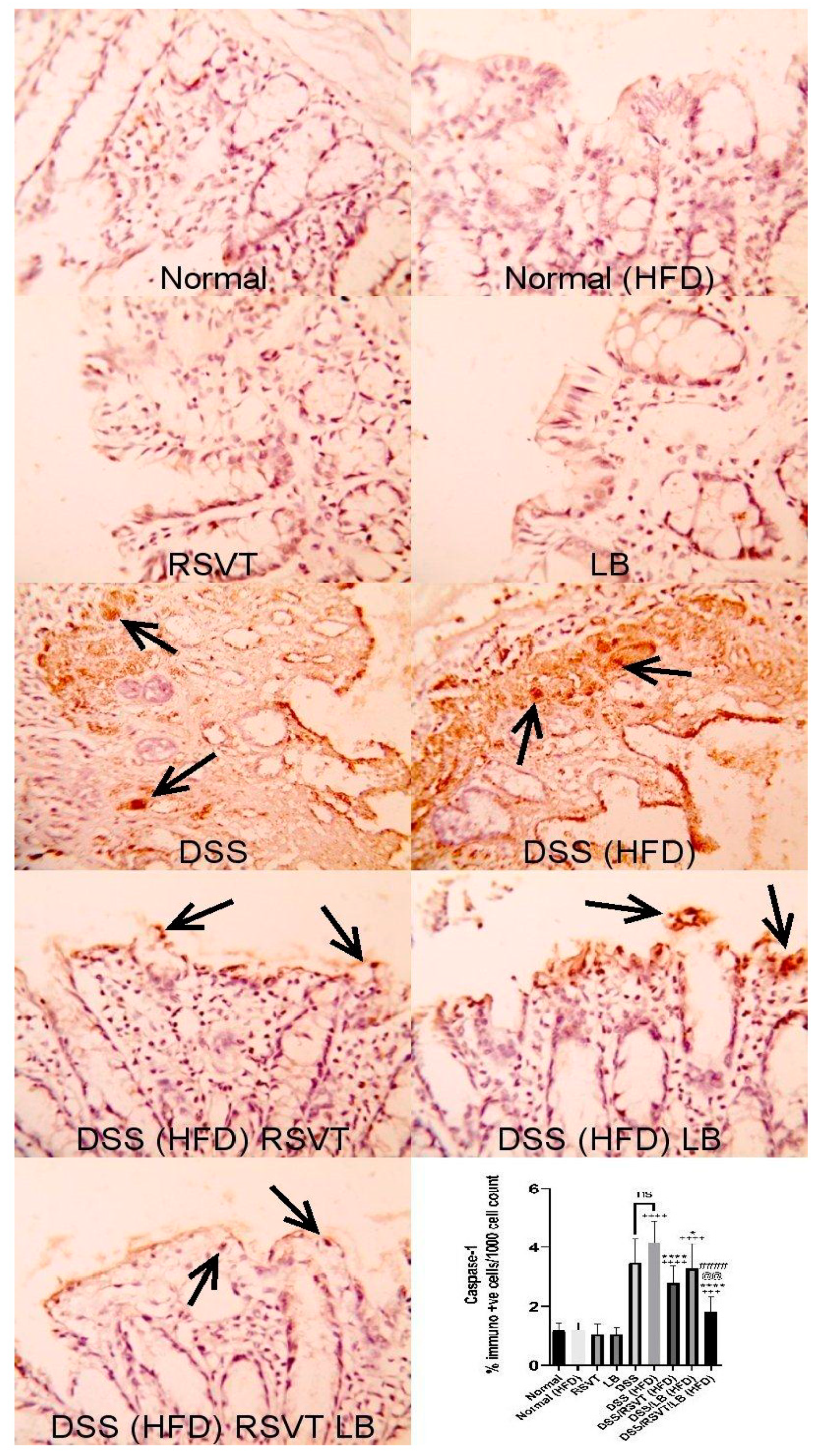 Pharmaceuticals 14 00341 g004 Pharmaceuticals 14 00341 g004