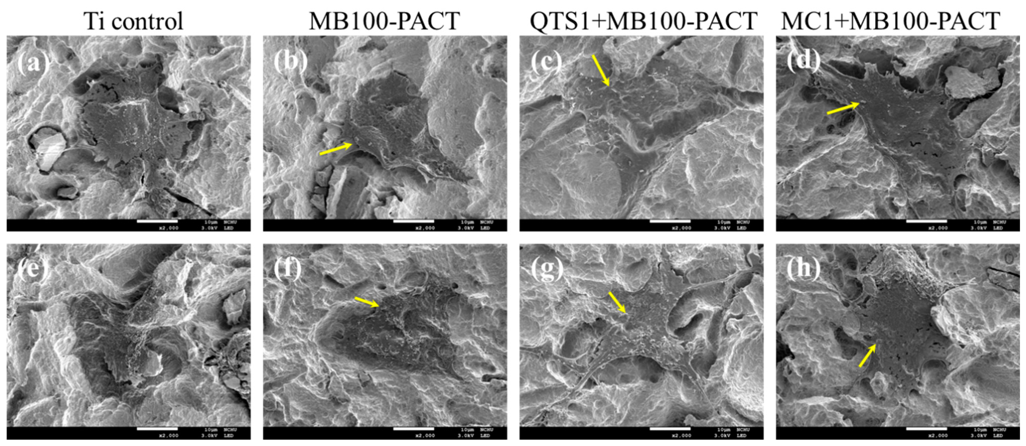 Pharmaceuticals 14 00346 g008