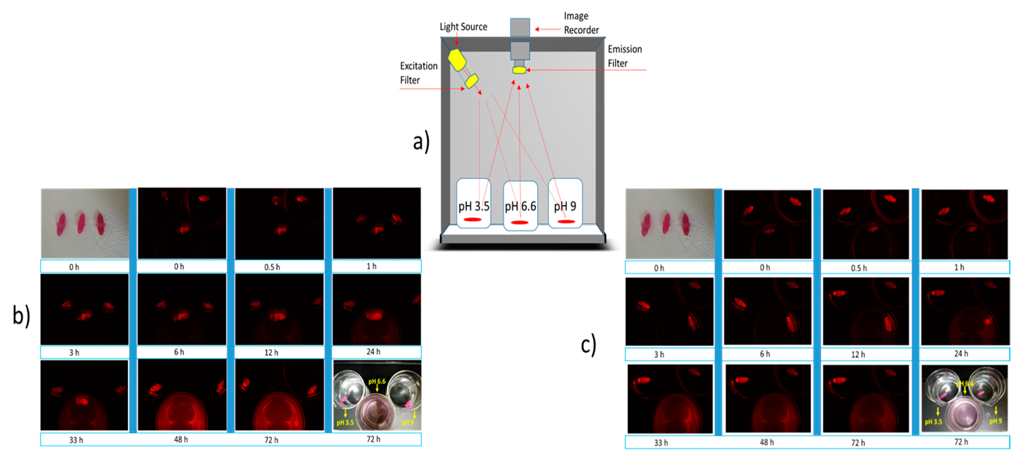 Pharmaceuticals 14 00355 g006
