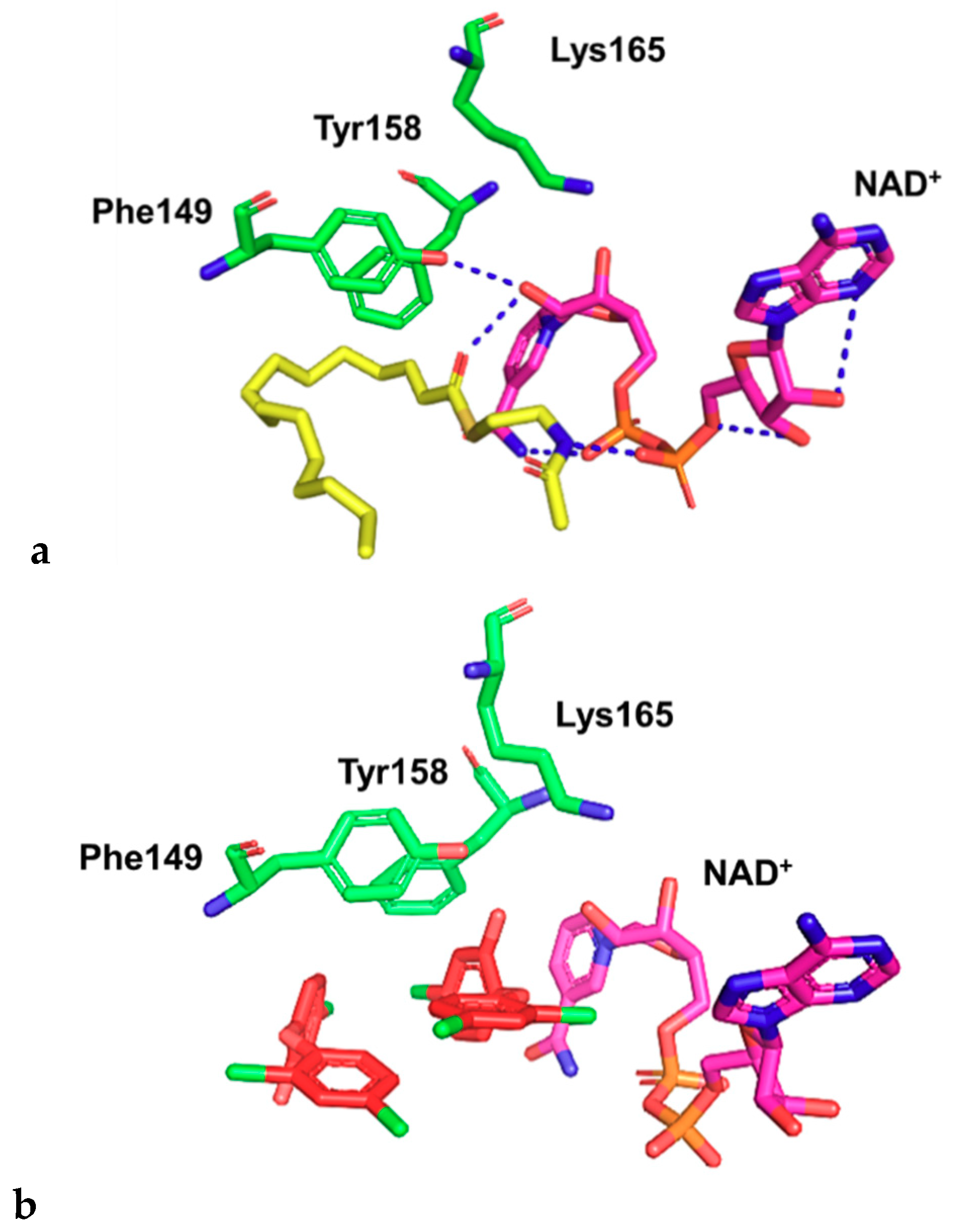 Pharmaceuticals 14 00361 g002 Pharmaceuticals 14 00361 g002