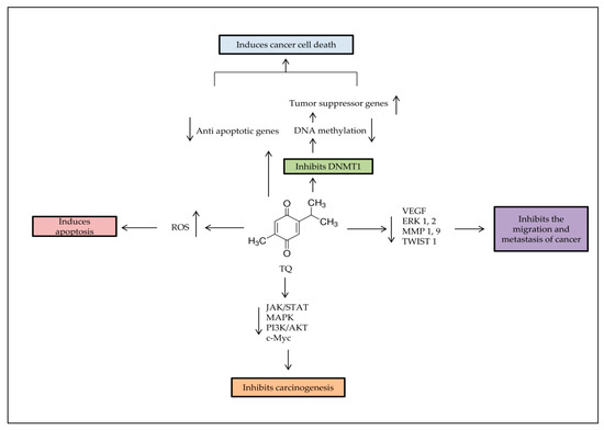 Pharmaceuticals 14 00369 g002 550