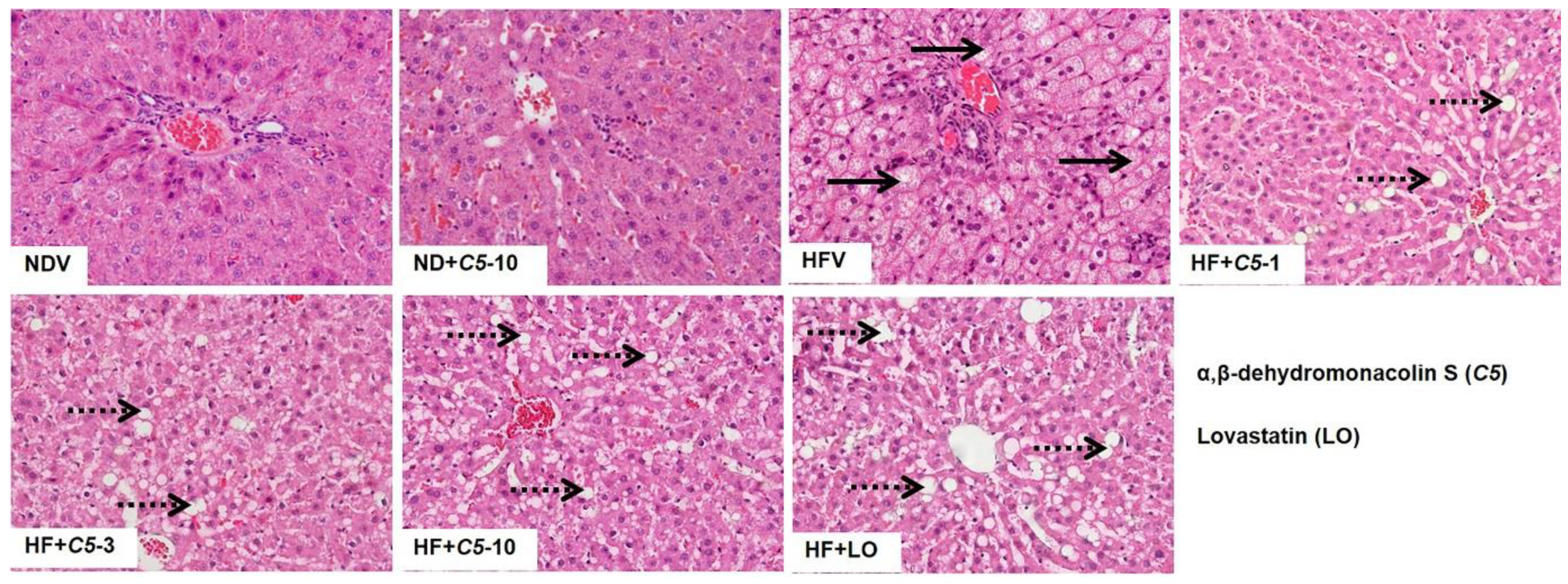 Pharmaceuticals 14 00375 g002 Pharmaceuticals 14 00375 g002