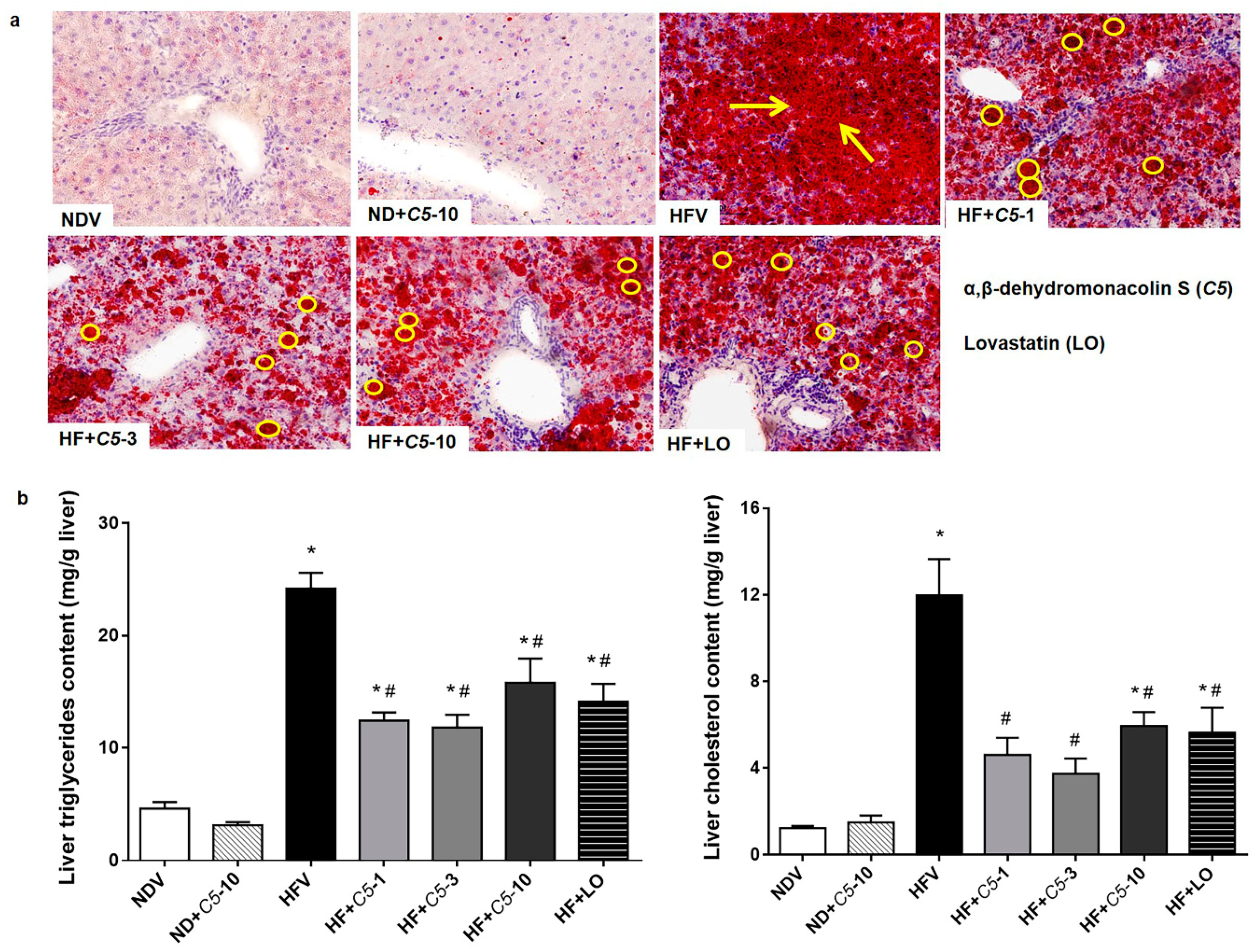 Pharmaceuticals 14 00375 g003 Pharmaceuticals 14 00375 g003