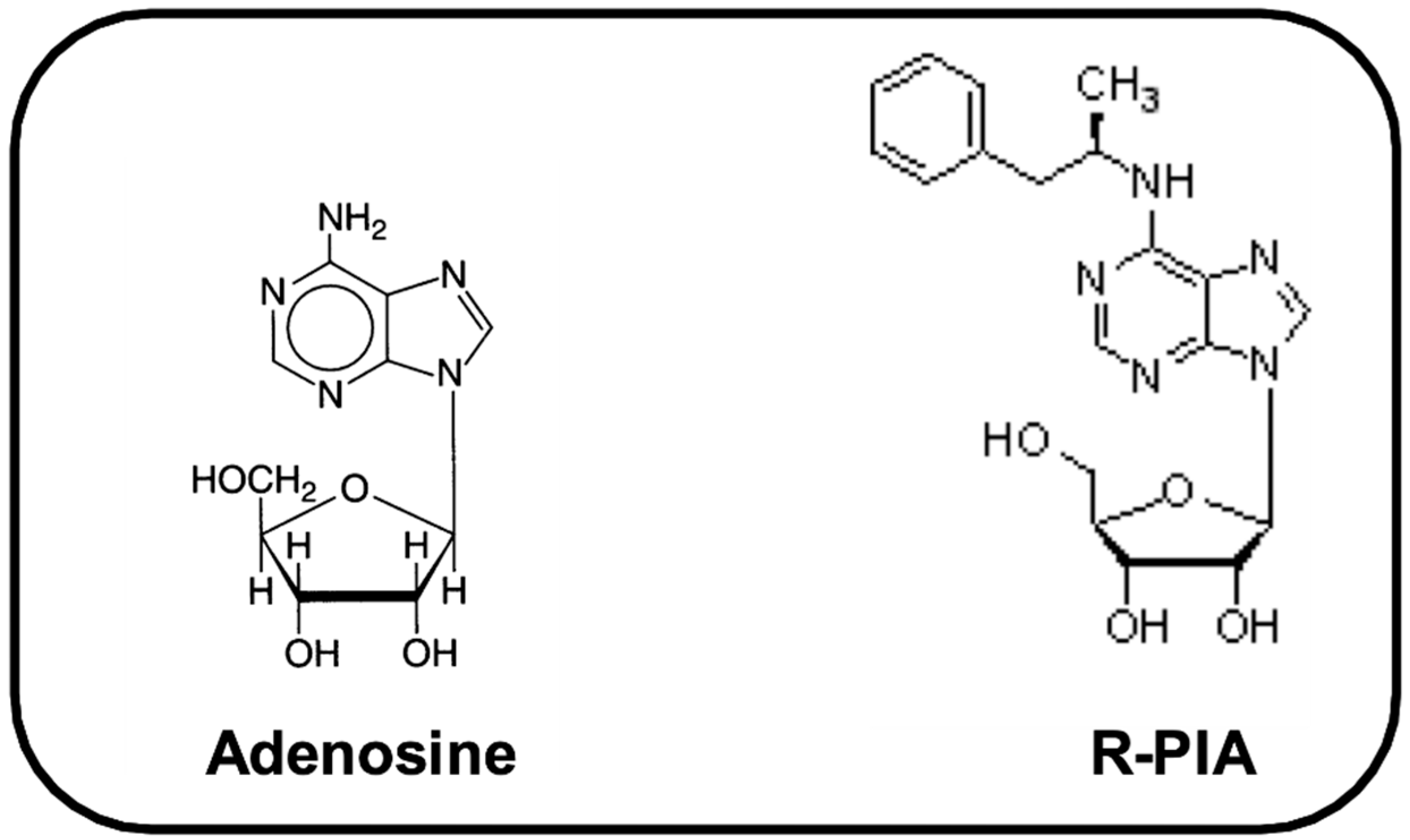 Pharmaceuticals 14 00376 g001