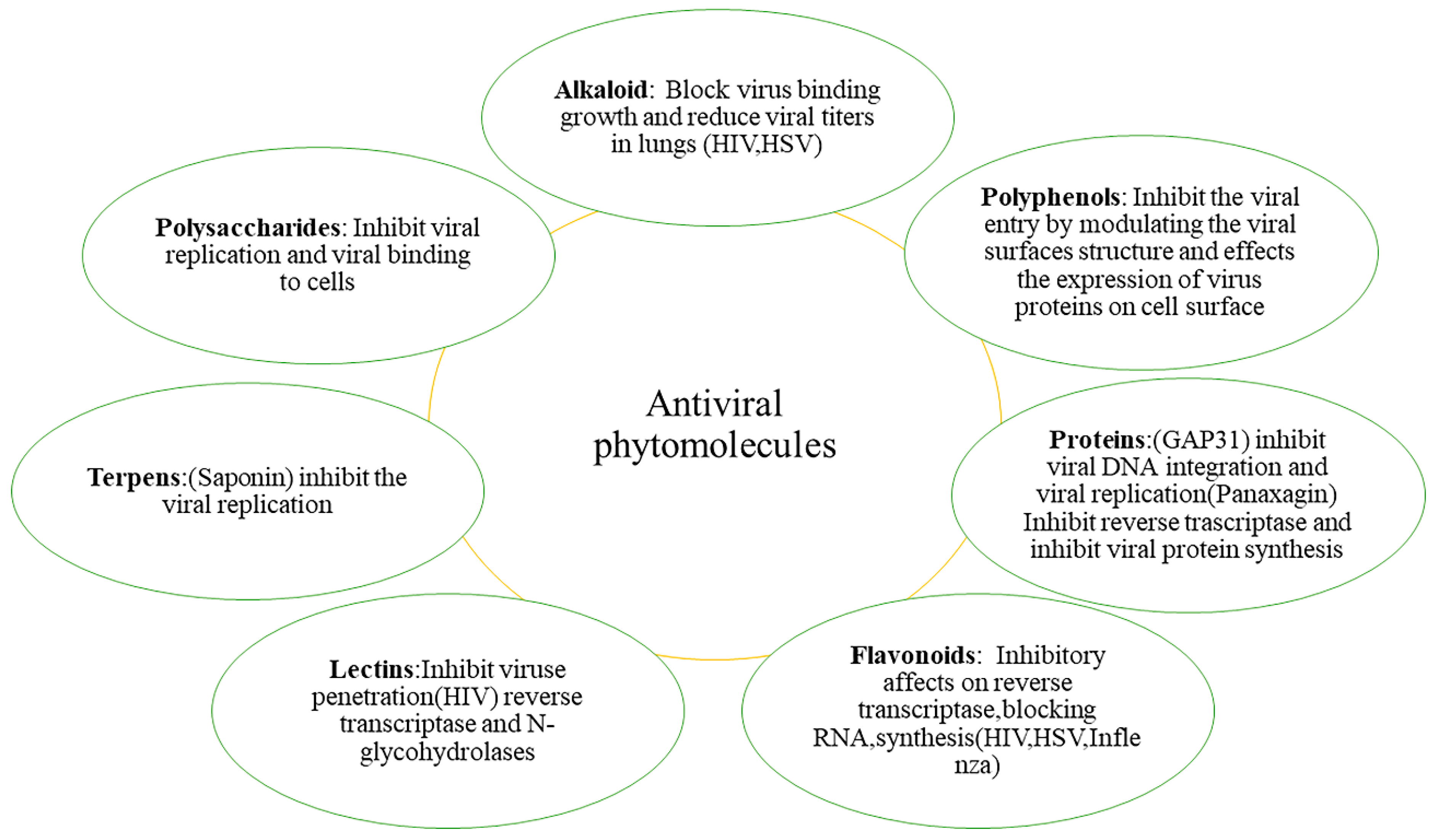 Pharmaceuticals Free Full Text Phytochemicals From Plant Foods As Potential Source Of Antiviral Agents An Overview Html