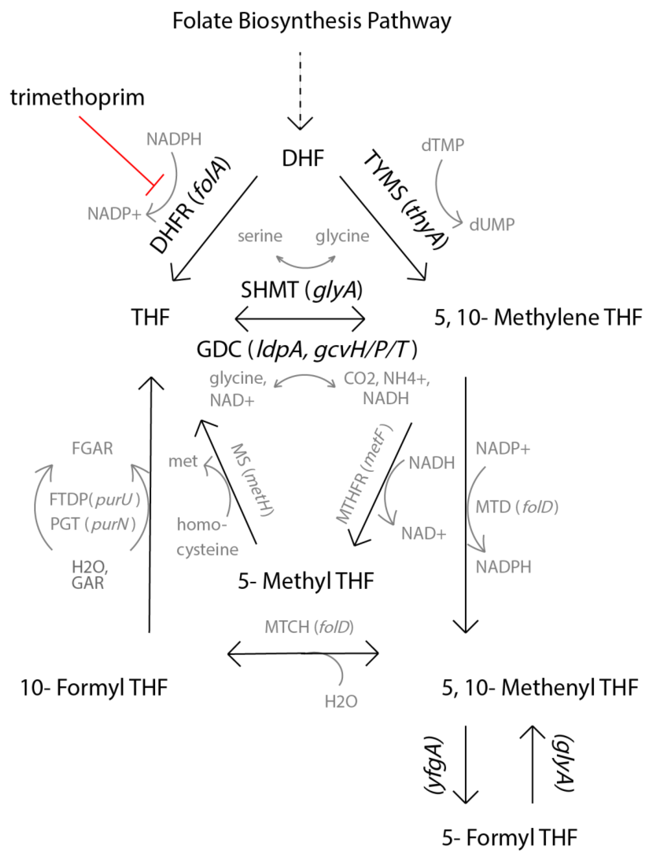 Pharmaceuticals 14 00392 g005
