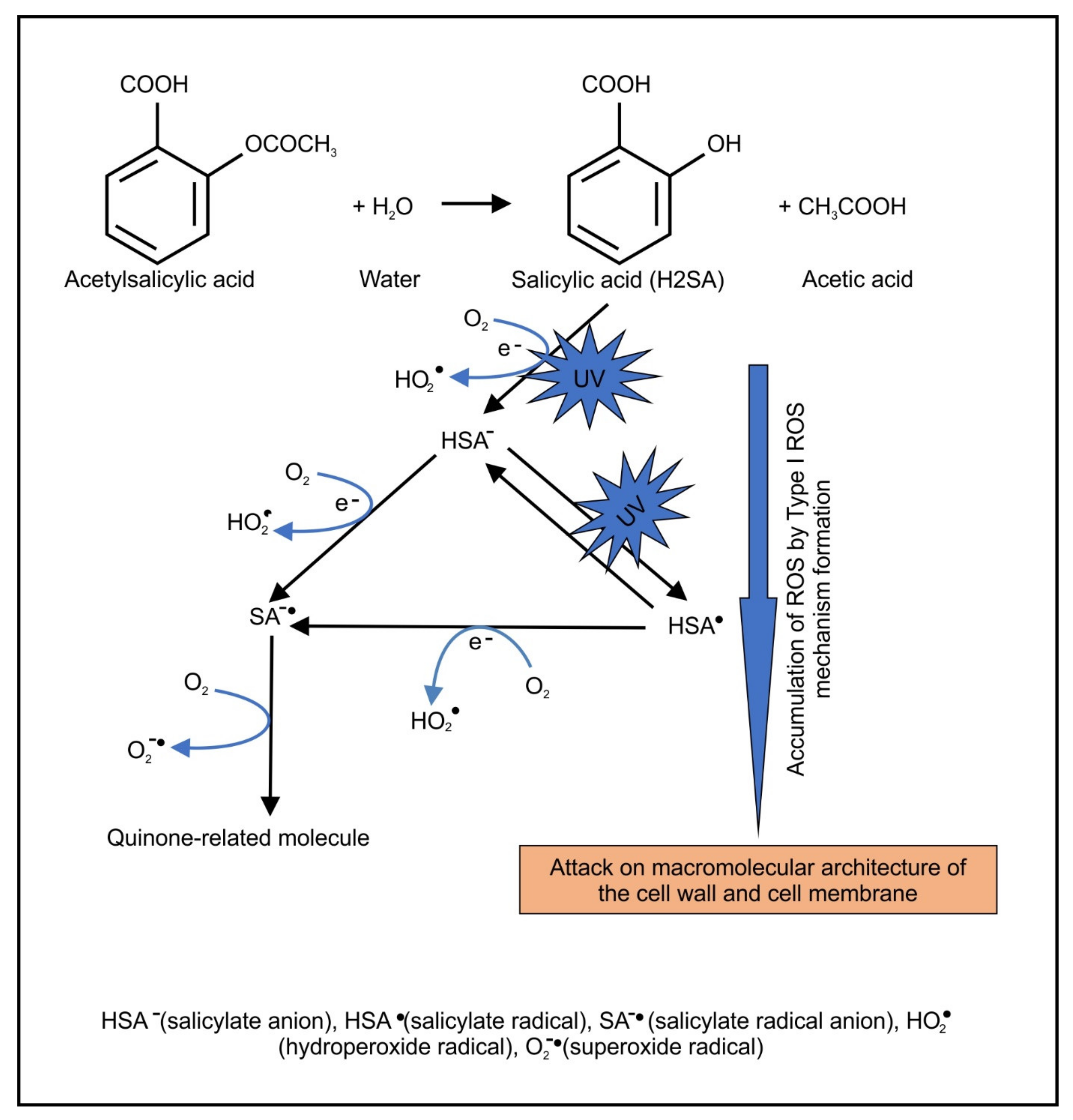 Pharmaceuticals 14 00404 g001