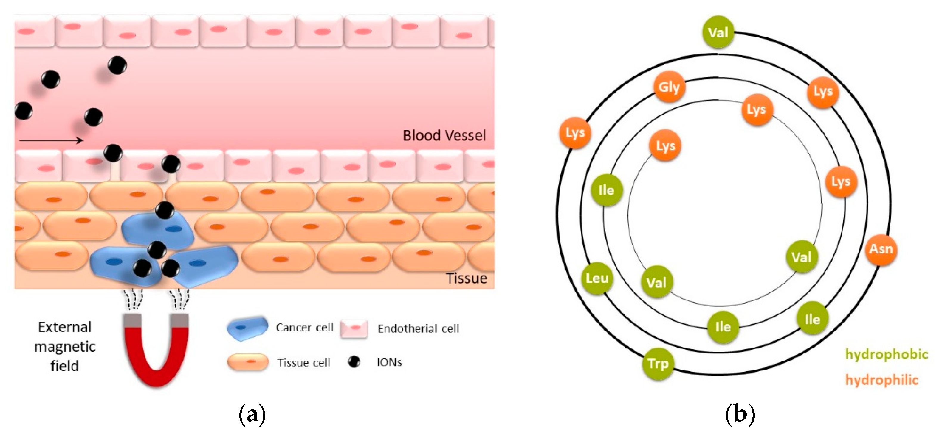 Pharmaceuticals 14 00405 g001