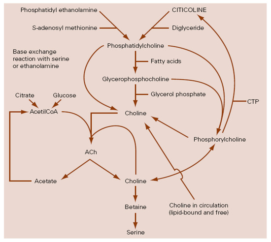 Pharmaceuticals 14 00410 g001 550