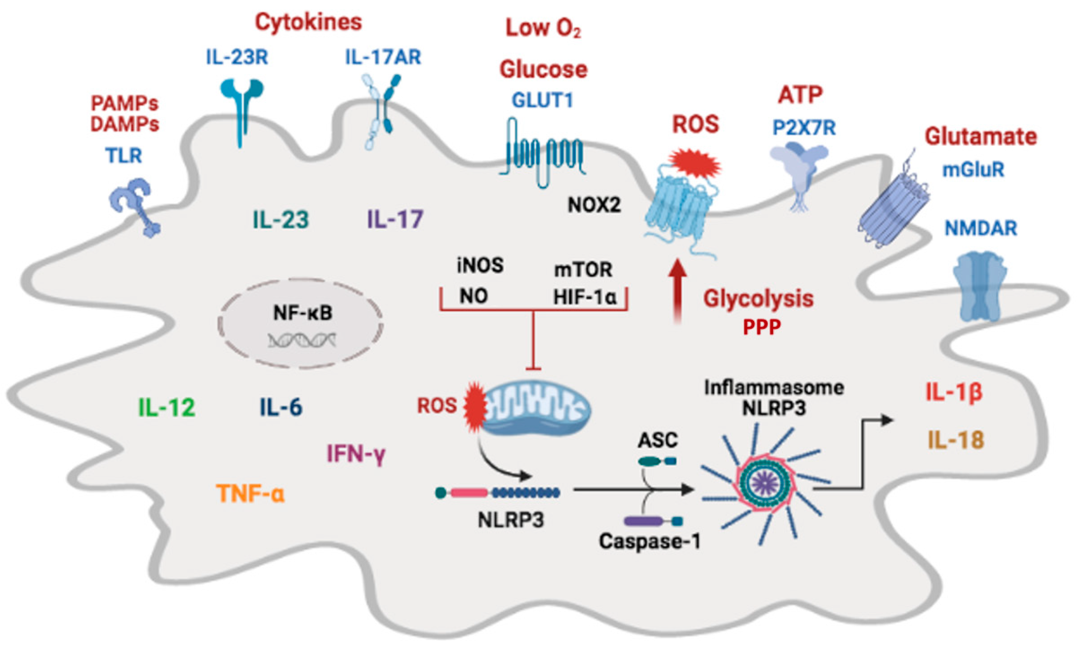 Pharmaceuticals 14 00416 g002 Pharmaceuticals 14 00416 g002