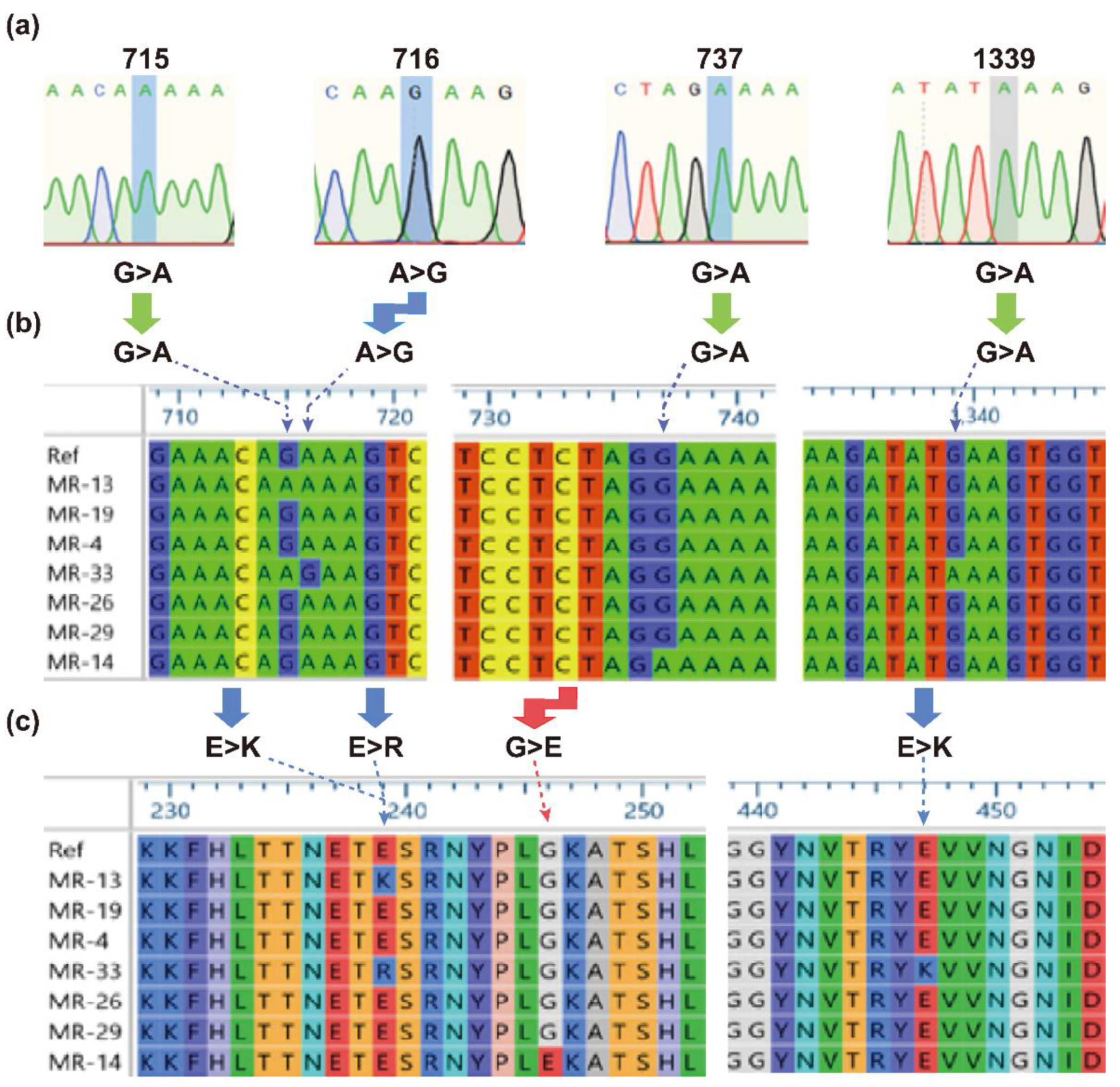 Pharmaceuticals 14 00420 g001 Pharmaceuticals 14 00420 g001