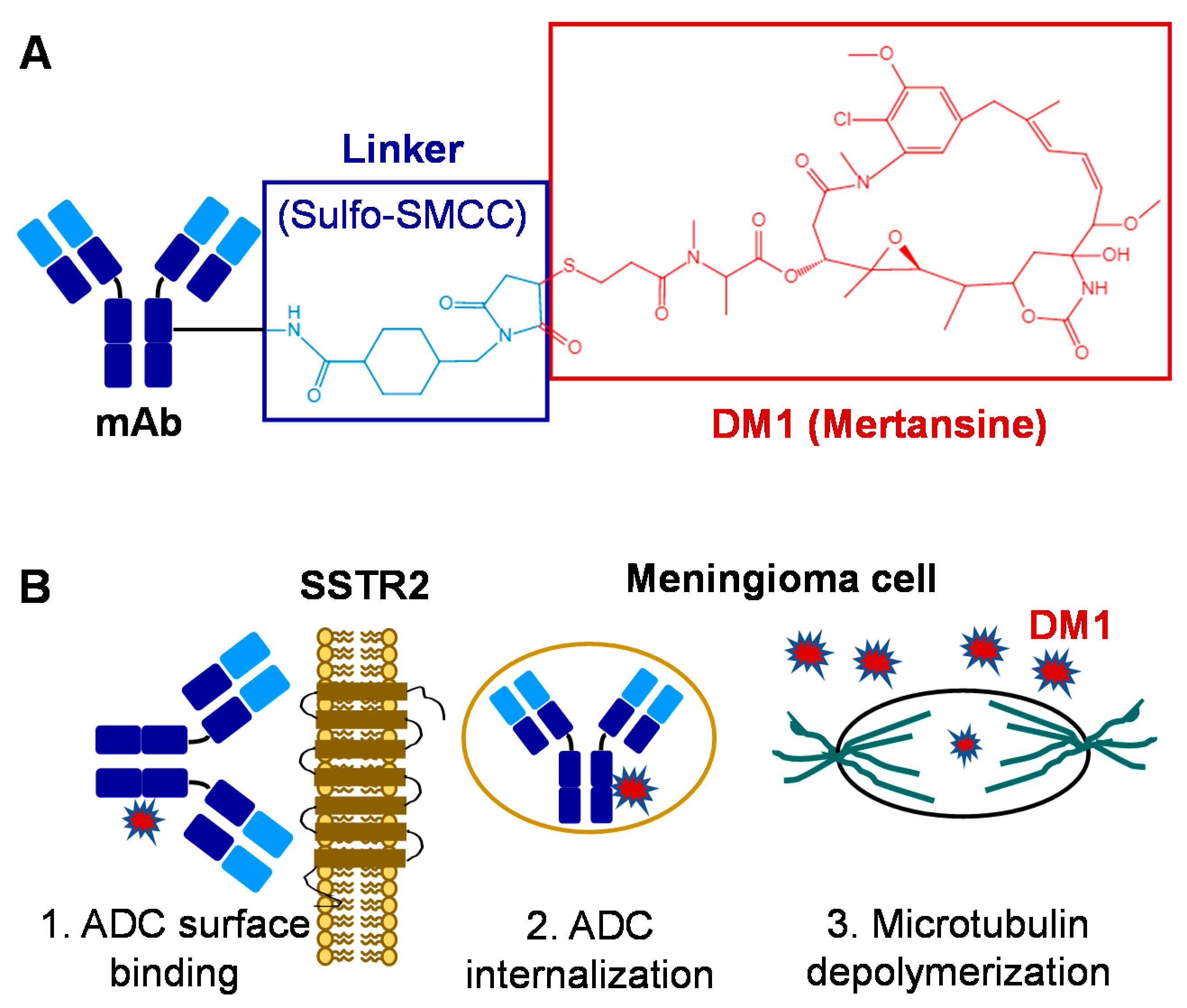 Pharmaceuticals 14 00427 g001 Pharmaceuticals 14 00427 g001