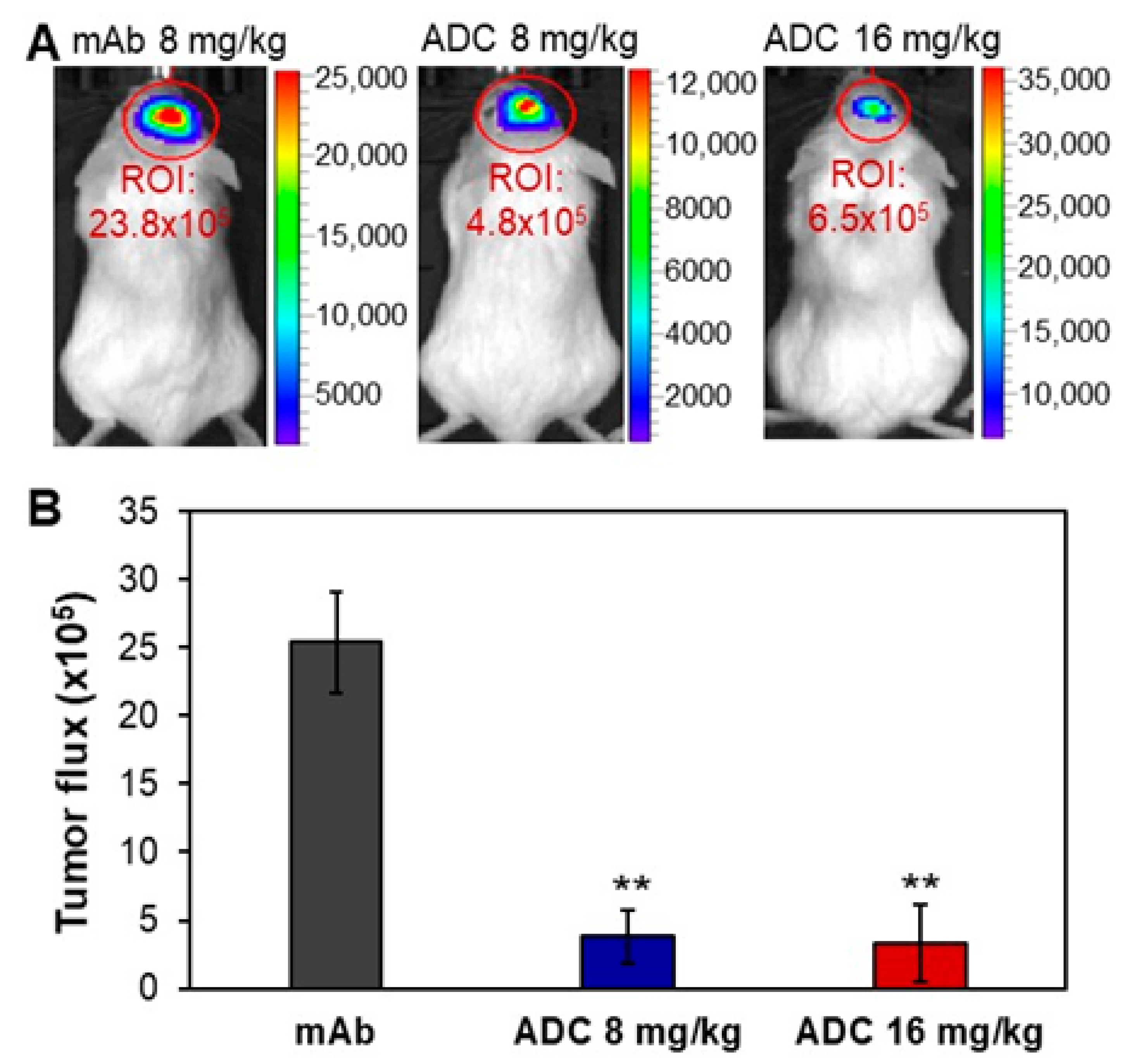 Pharmaceuticals 14 00427 g005 Pharmaceuticals 14 00427 g005