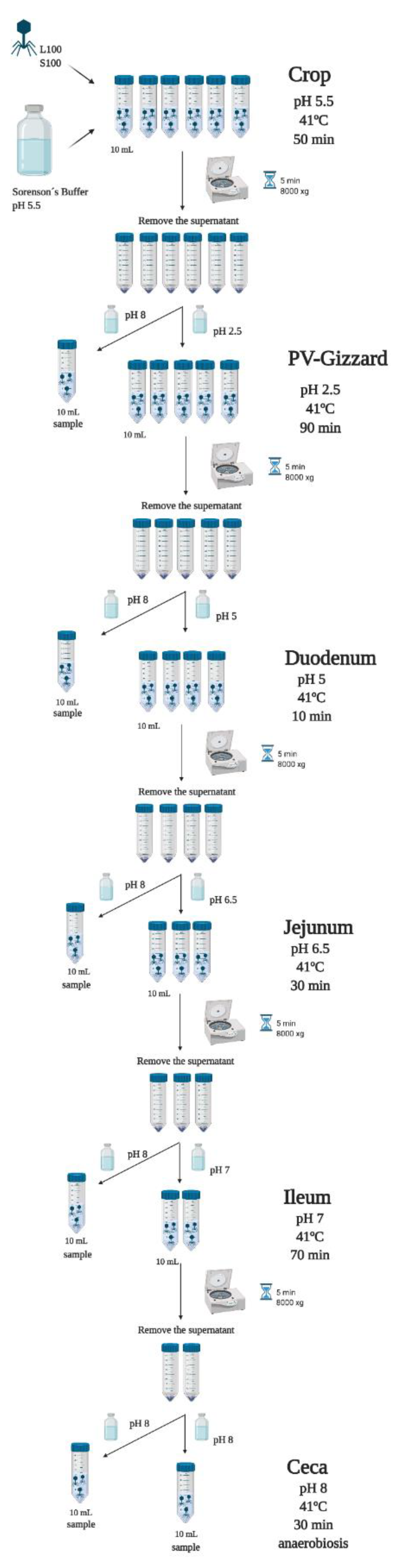 Pharmaceuticals 14 00434 g004 Pharmaceuticals 14 00434 g004