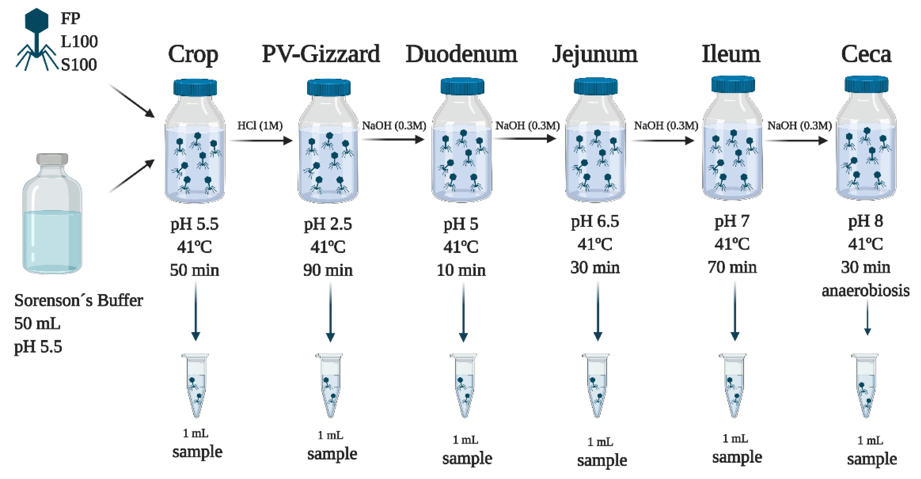 Pharmaceuticals 14 00434 g005 Pharmaceuticals 14 00434 g005