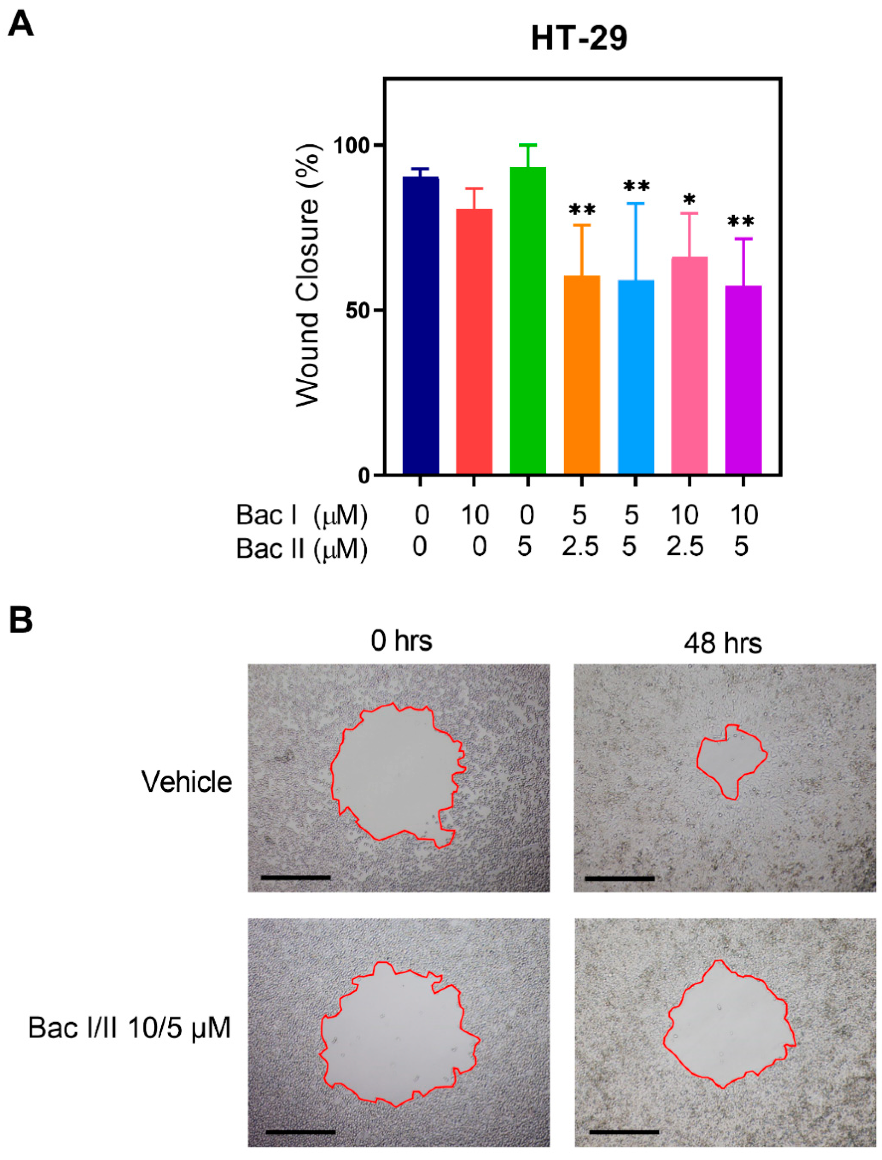 Pharmaceuticals 14 00436 g003 Pharmaceuticals 14 00436 g003