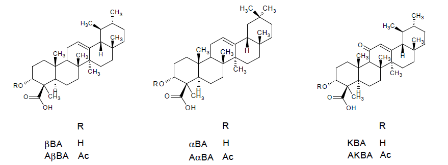Pharmaceuticals 14 00437 g001