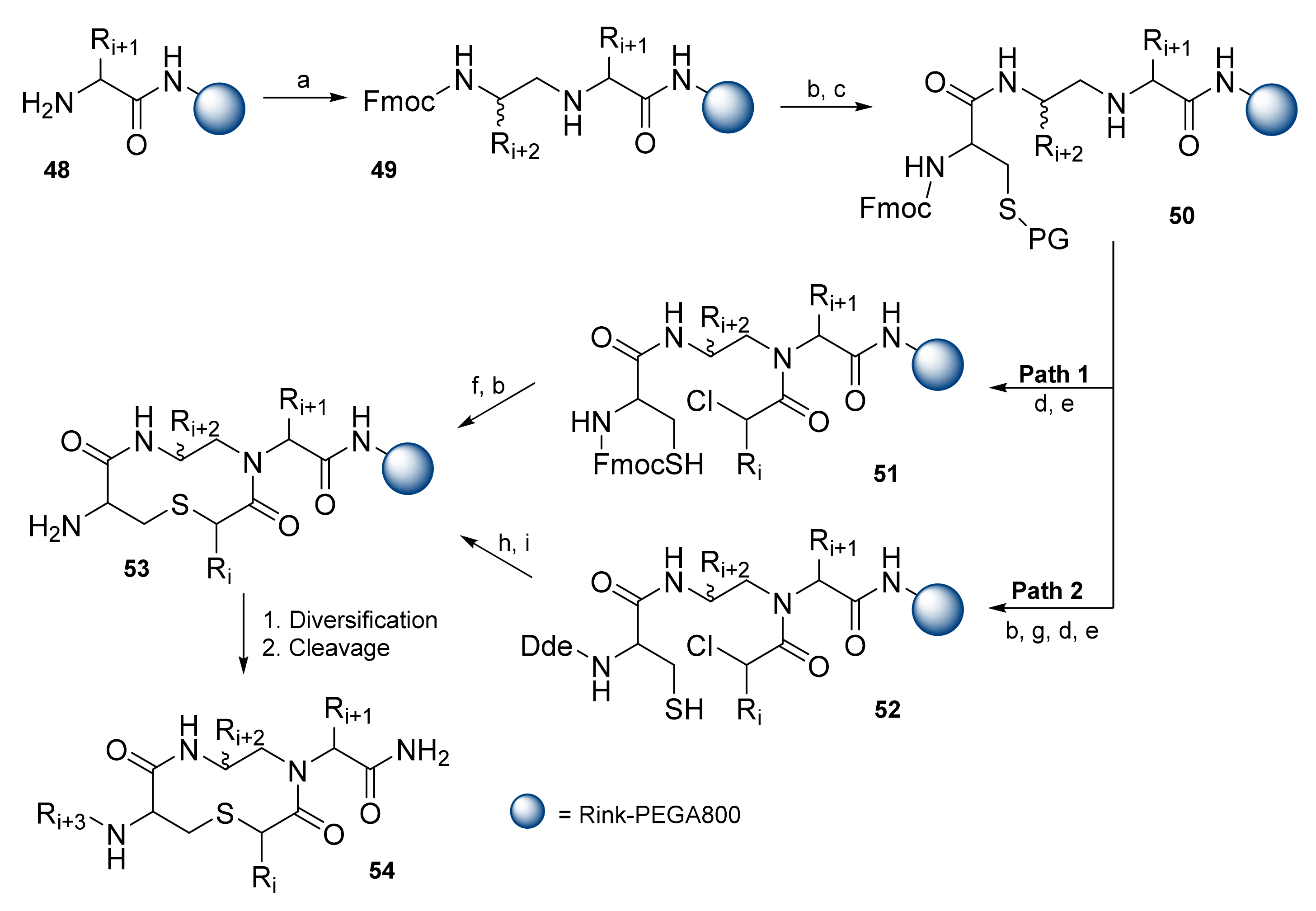 Pharmaceuticals 14 00449 sch009 Pharmaceuticals 14 00449 sch009