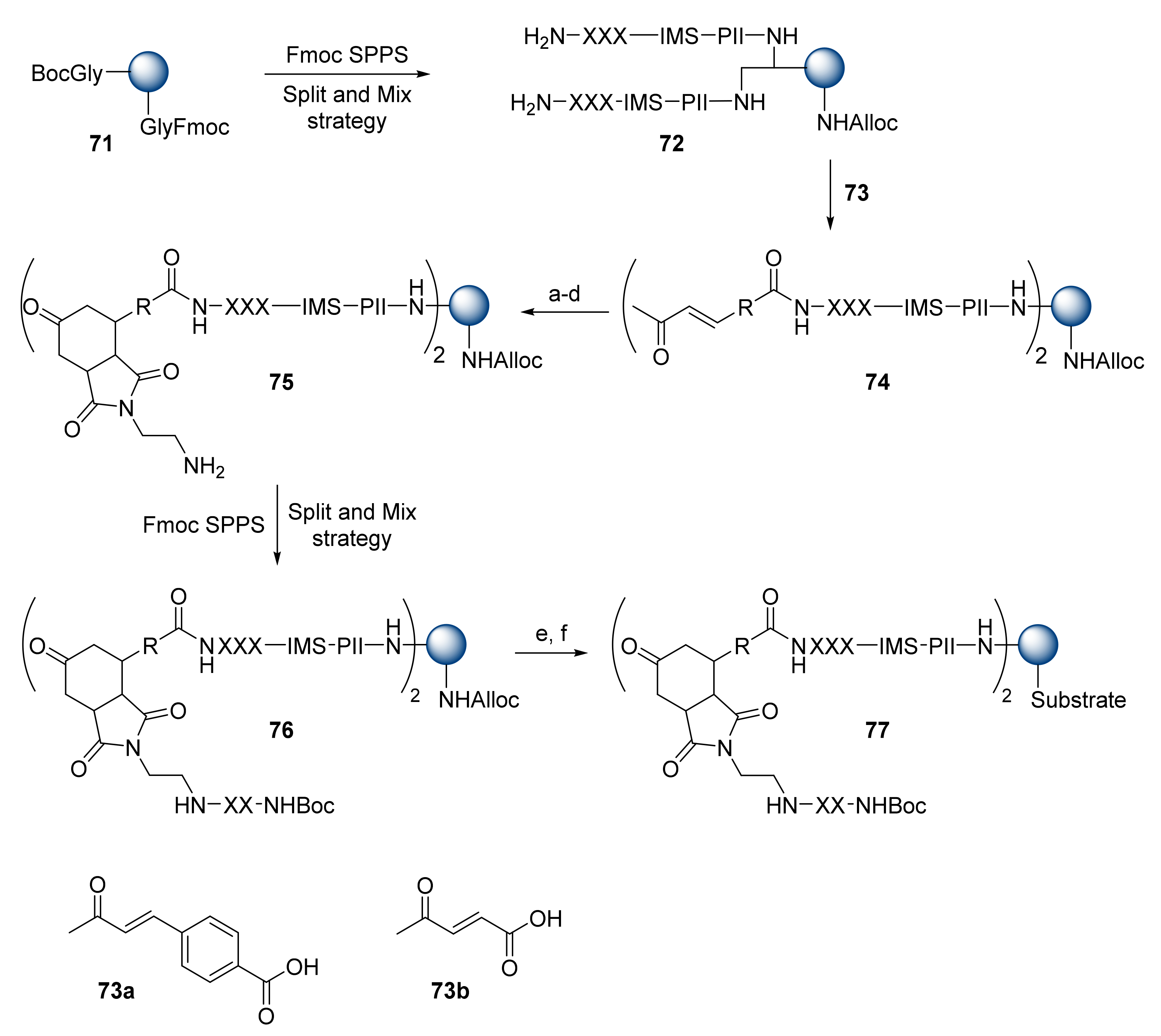 Pharmaceuticals 14 00449 sch013 Pharmaceuticals 14 00449 sch013