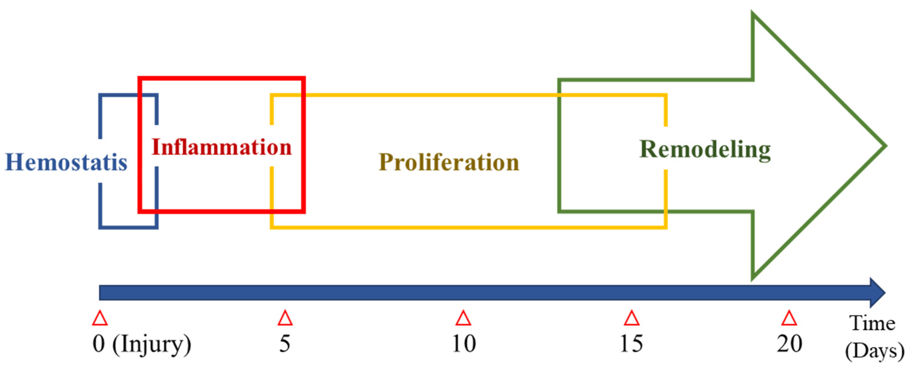 Pharmaceuticals 14 00456 g002 Pharmaceuticals 14 00456 g002