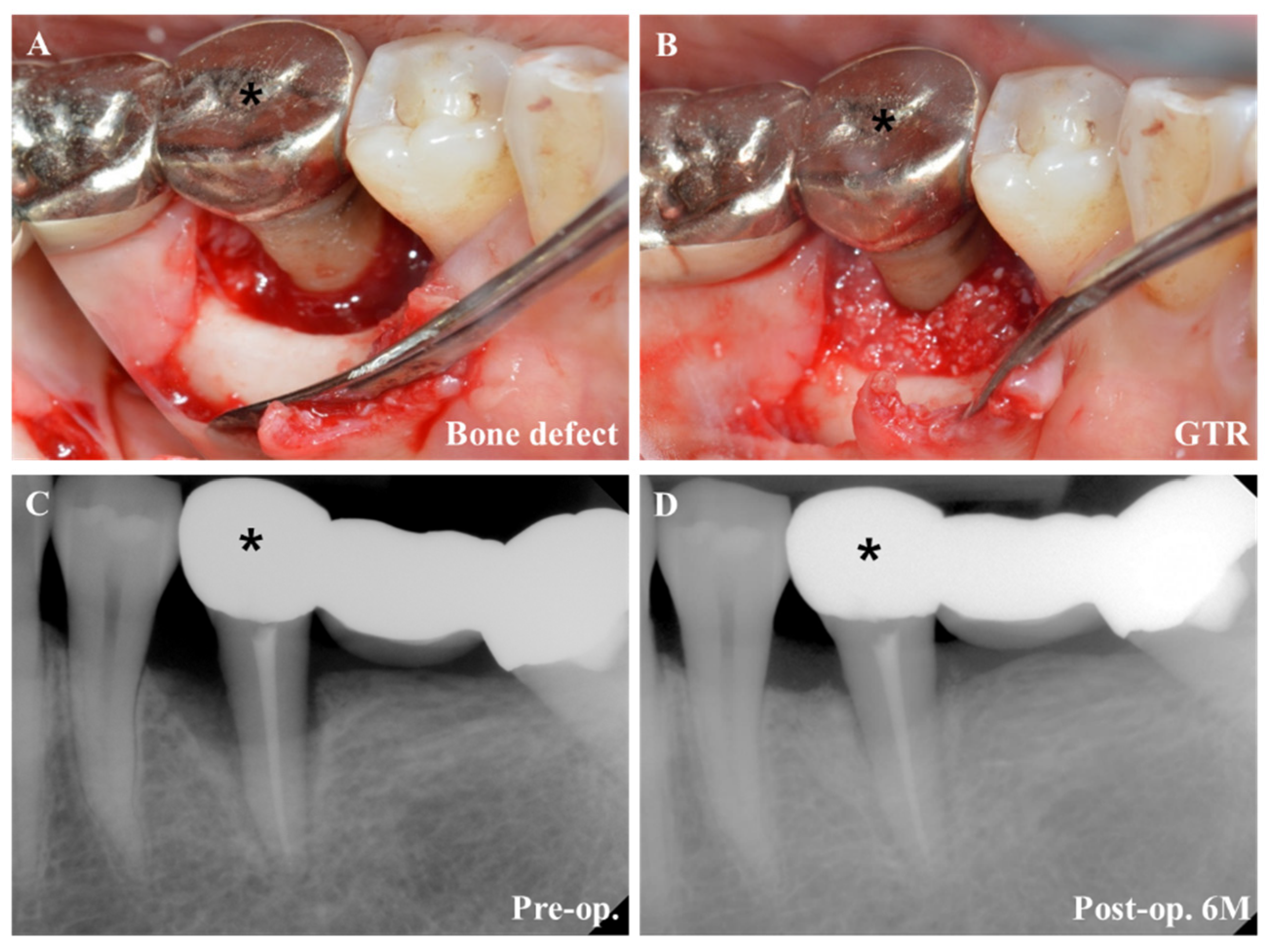Pharmaceuticals 14 00456 g004 Pharmaceuticals 14 00456 g004
