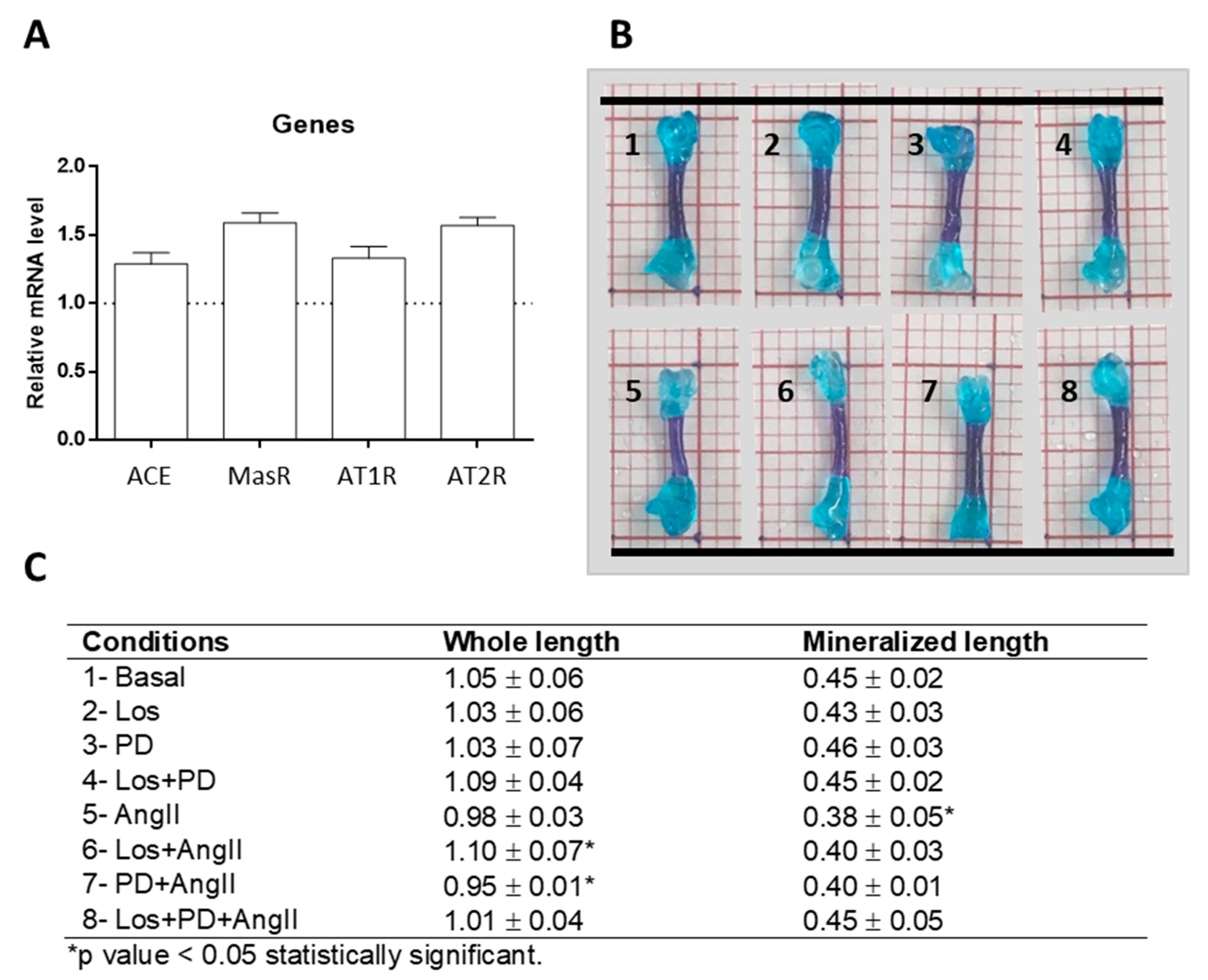 Pharmaceuticals 14 00469 g001