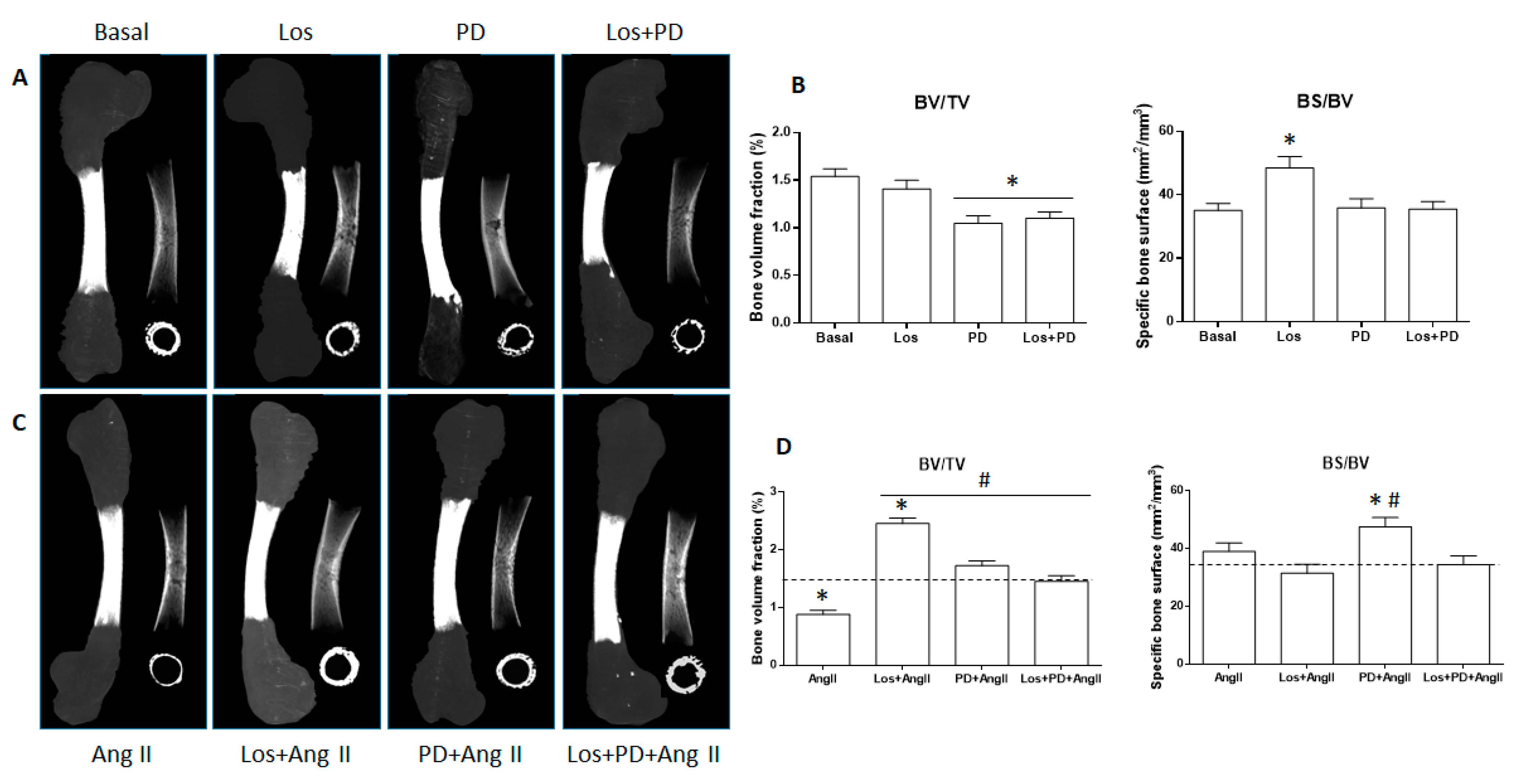Pharmaceuticals 14 00469 g002