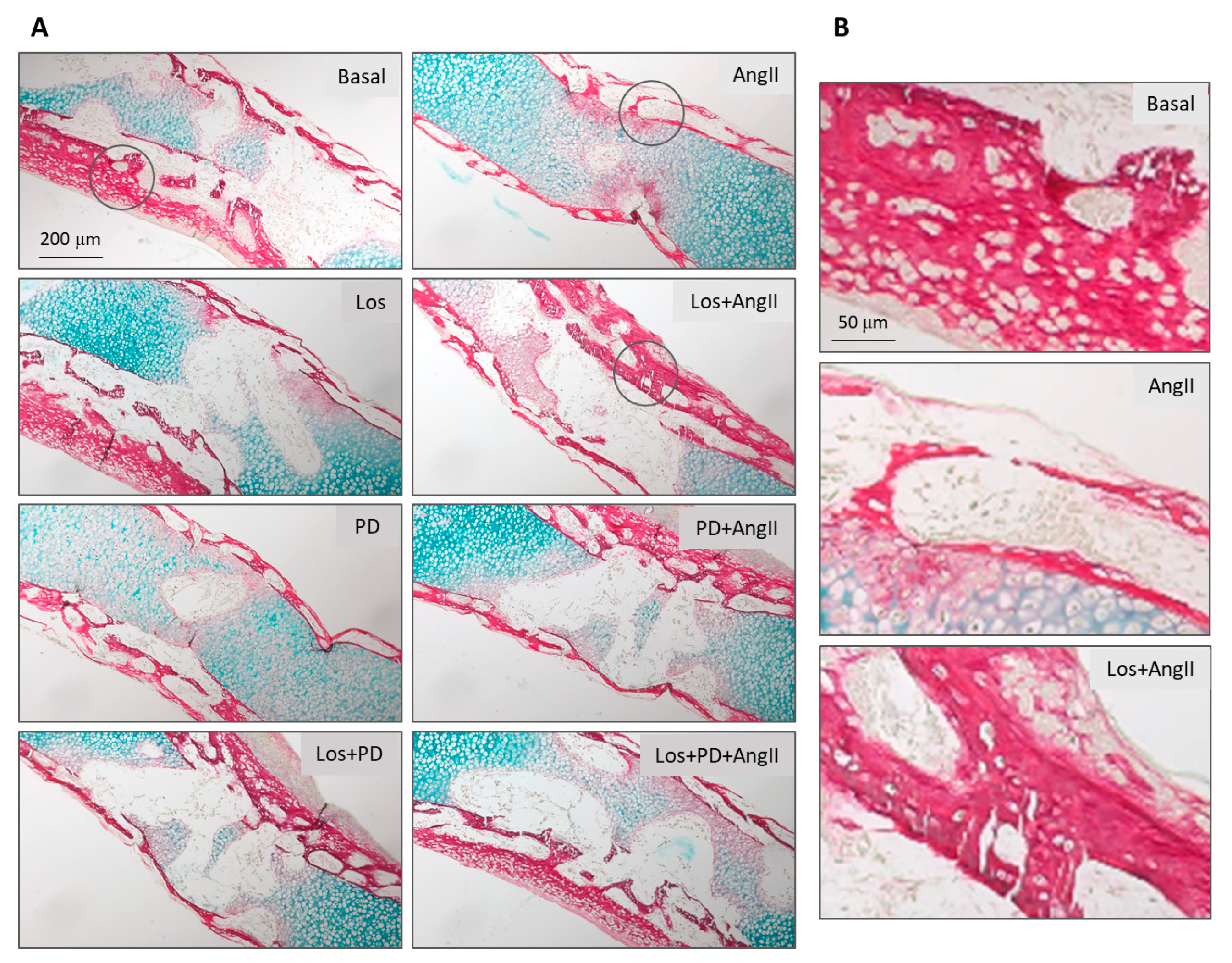 Pharmaceuticals 14 00469 g003