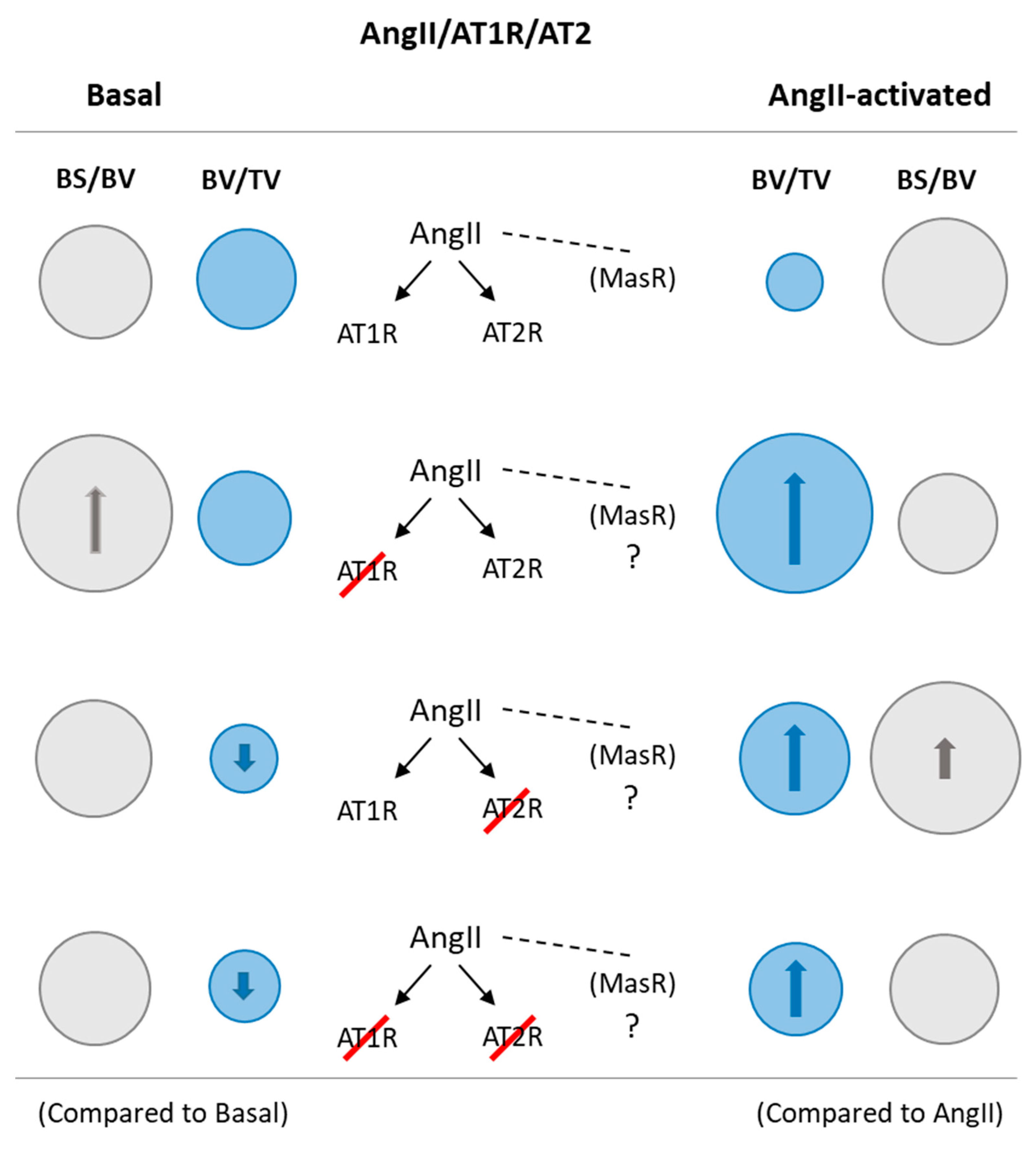 Pharmaceuticals 14 00469 g005