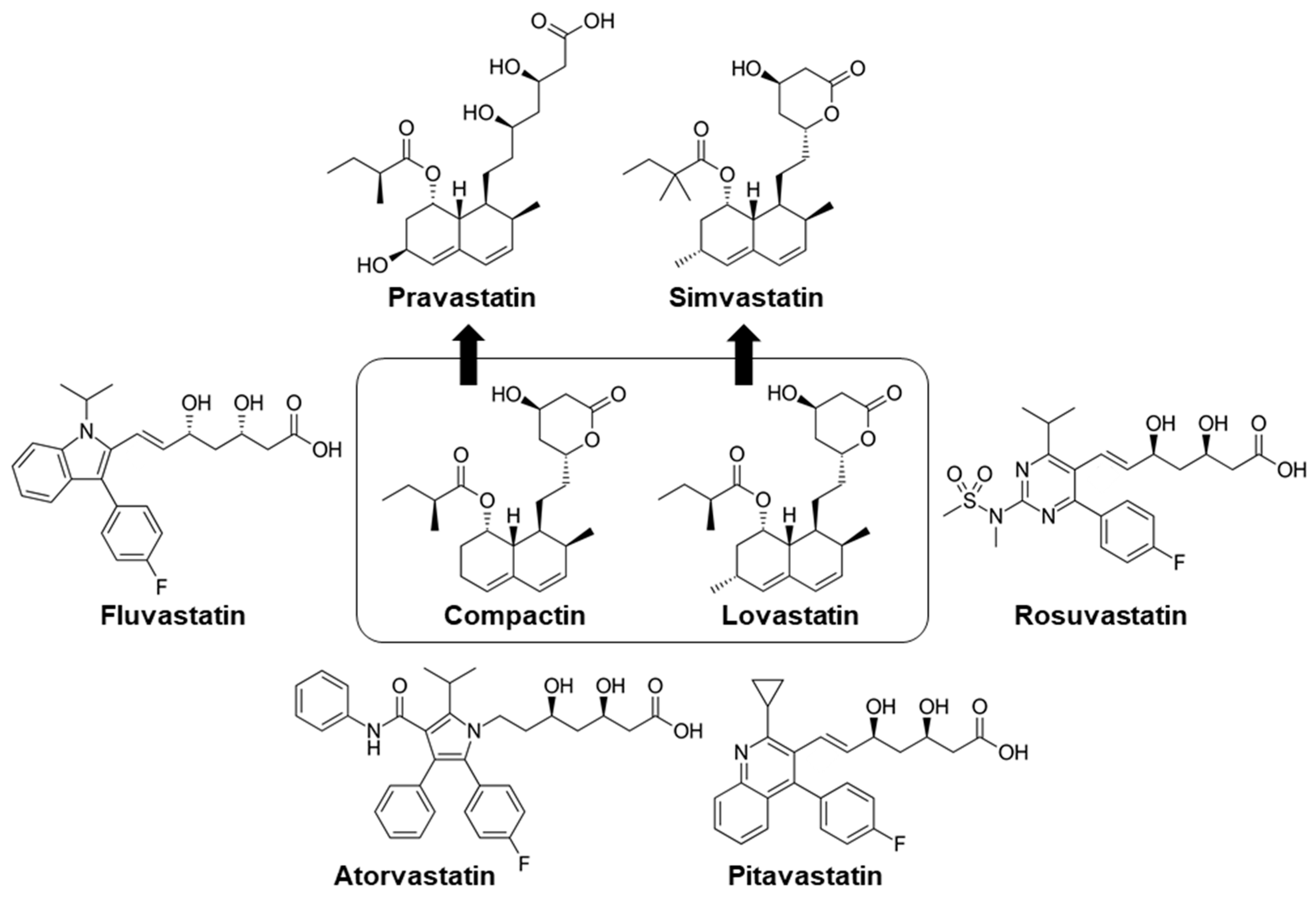 Statin as a Potential Chemotherapeutic Agent: Current