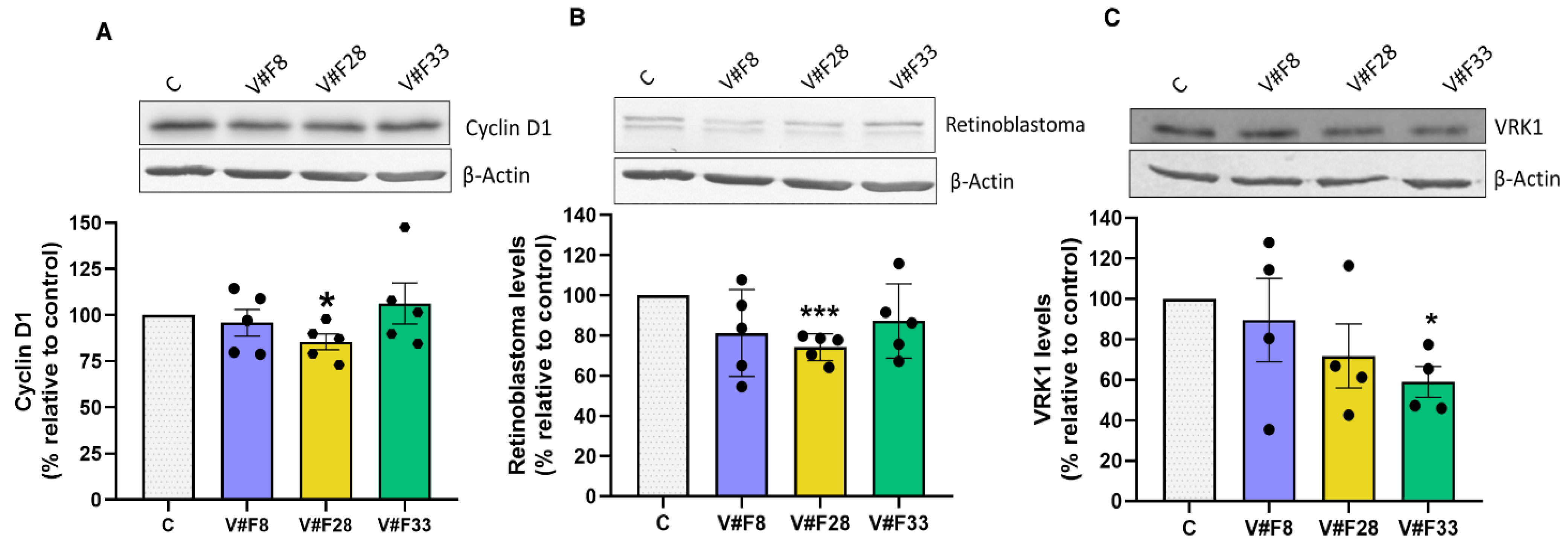Pharmaceuticals 14 00473 g005