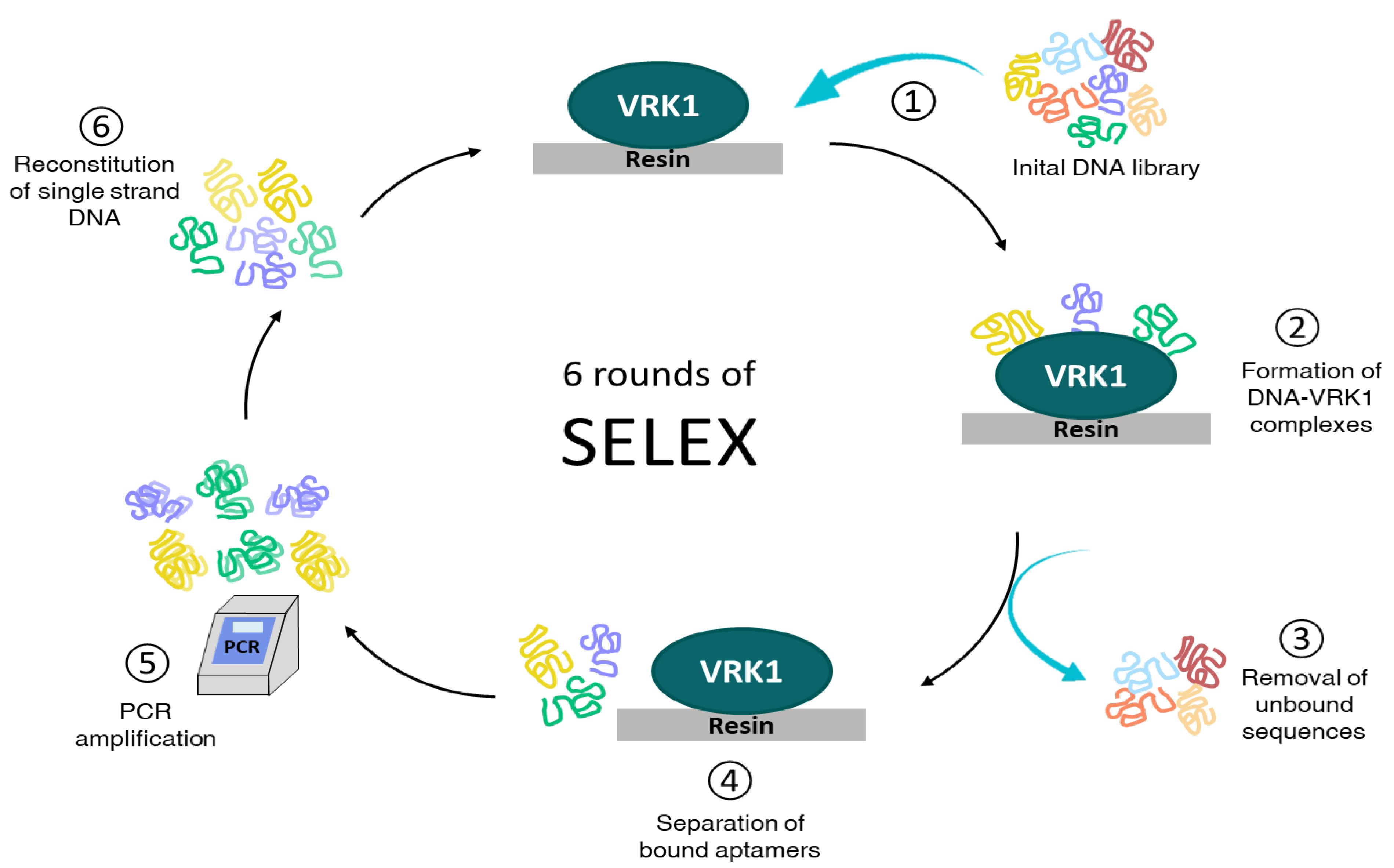 Pharmaceuticals 14 00473 g006