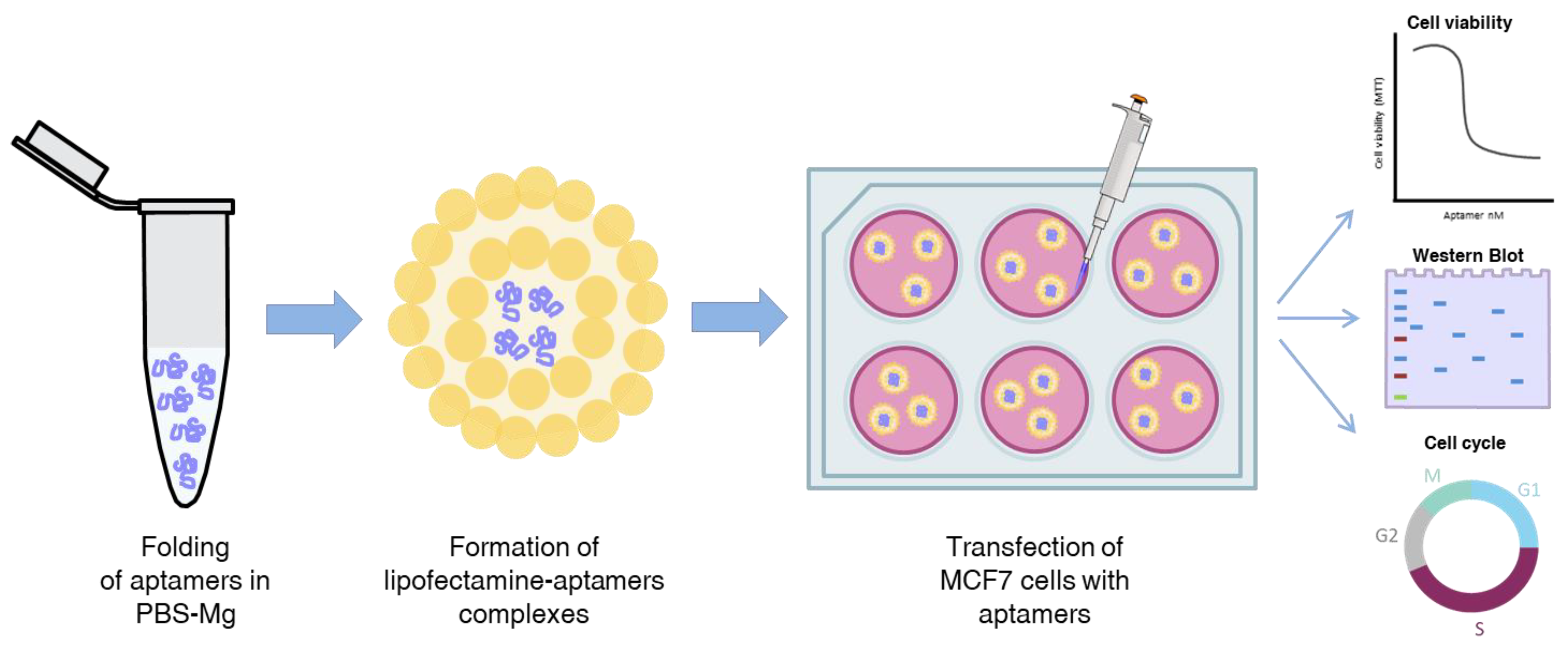 Pharmaceuticals 14 00473 g007