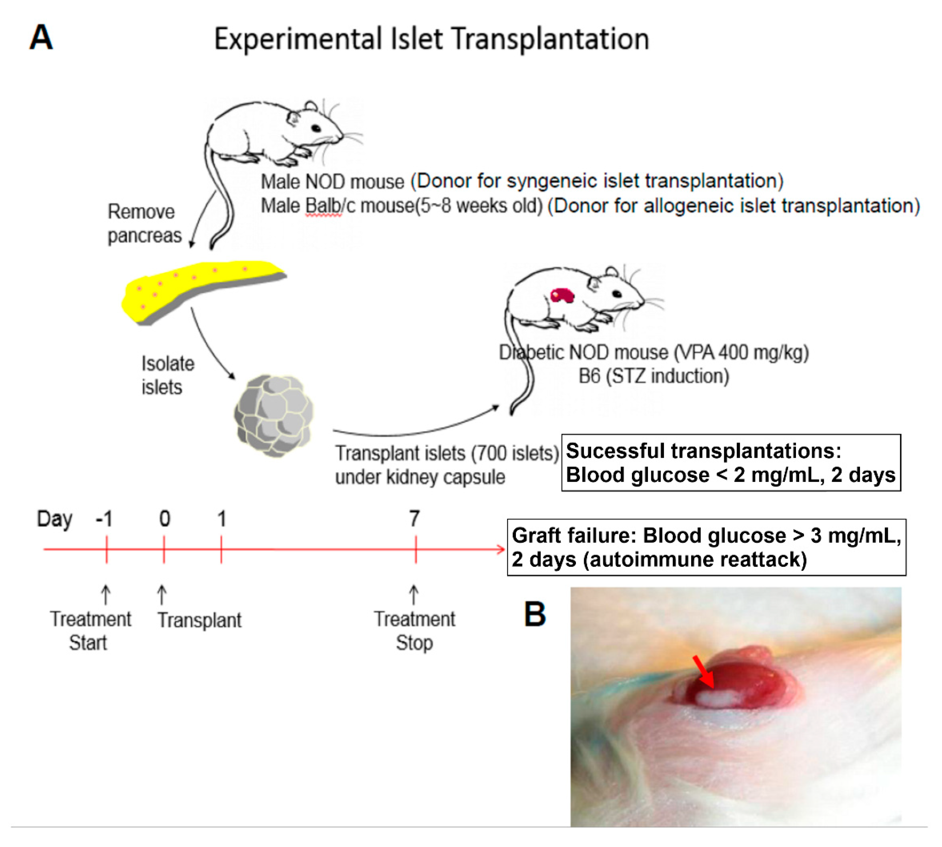 Pharmaceuticals 14 00475 g001 Pharmaceuticals 14 00475 g001
