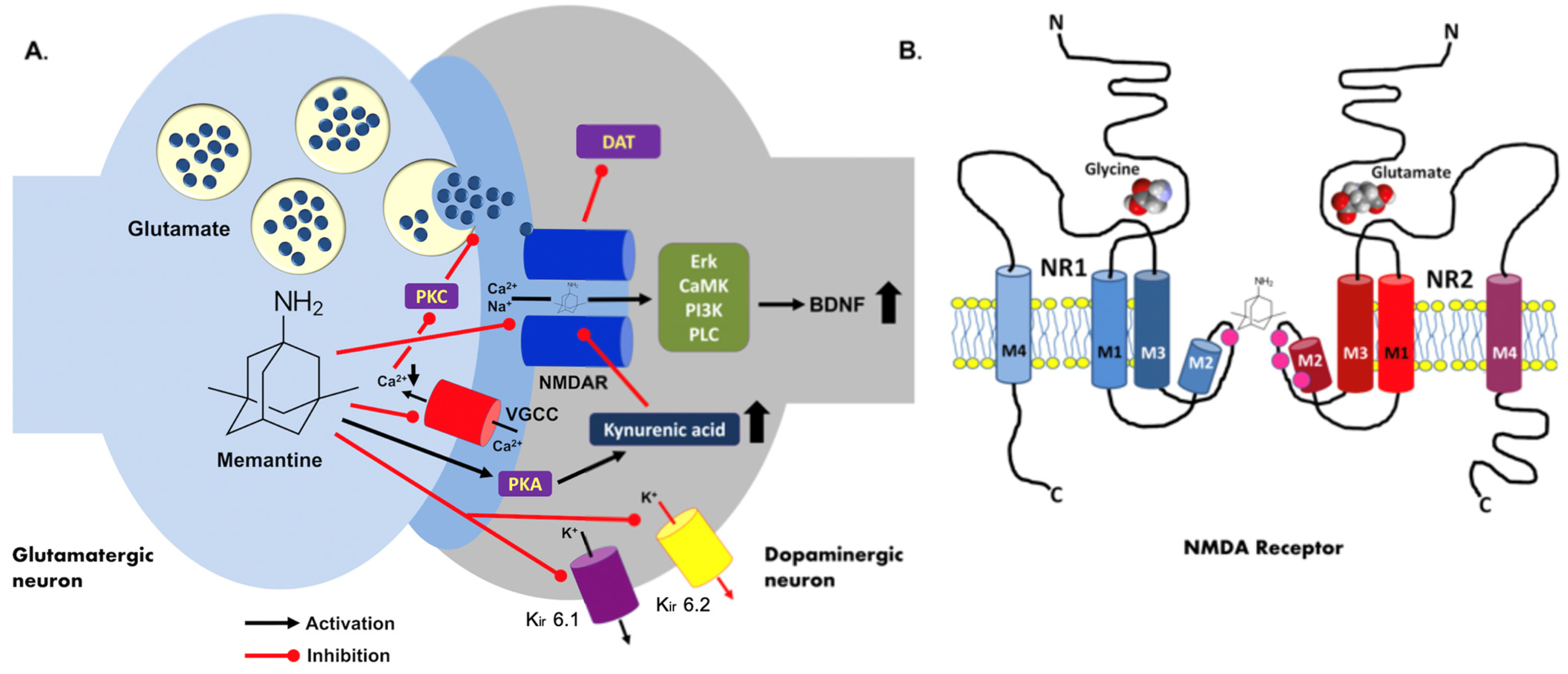 Is Memantine A Mind Altering Drug? Expert Reveals All - nqbpv46