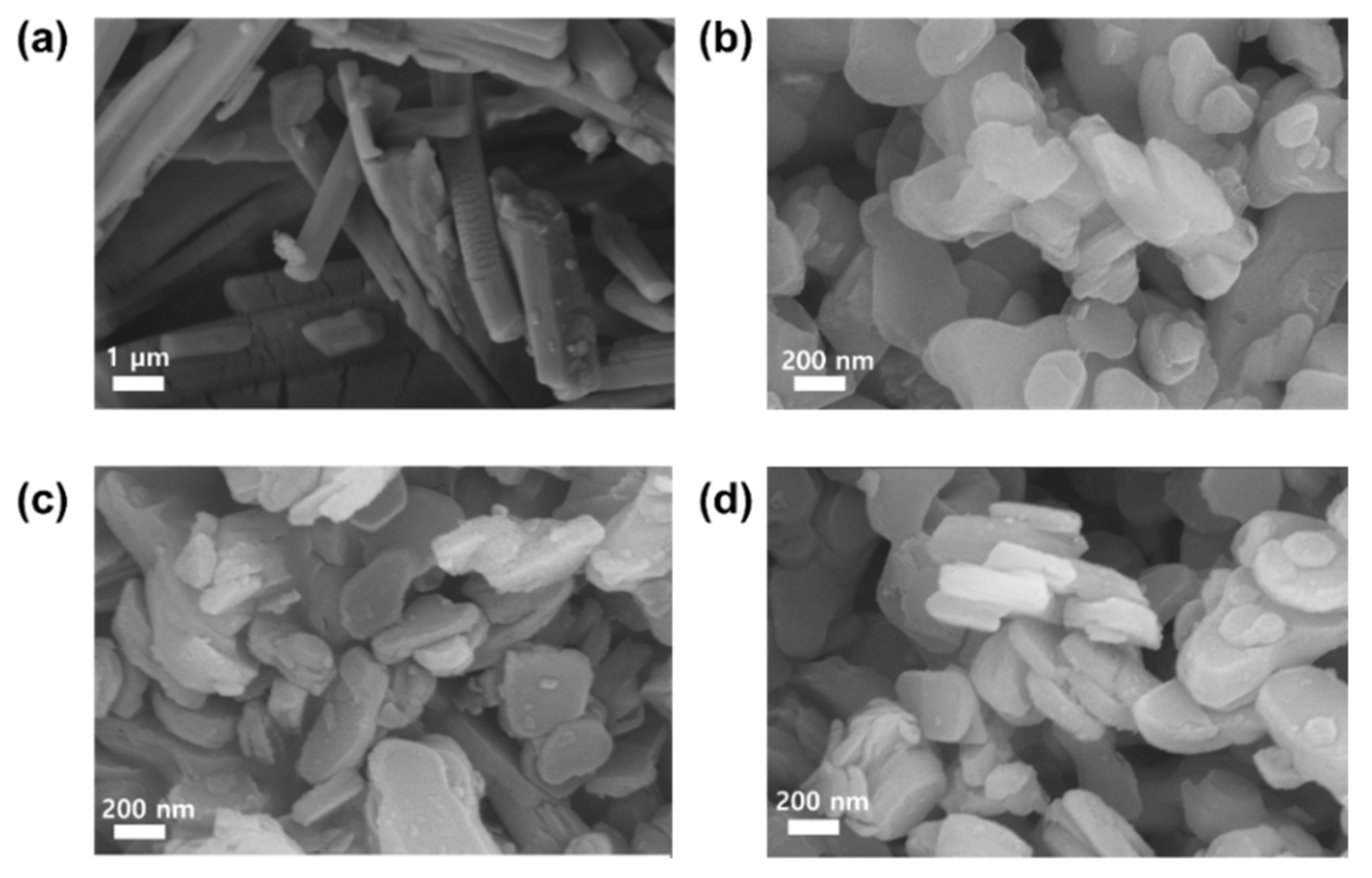 Pharmaceuticals 14 00486 g004 Pharmaceuticals 14 00486 g004