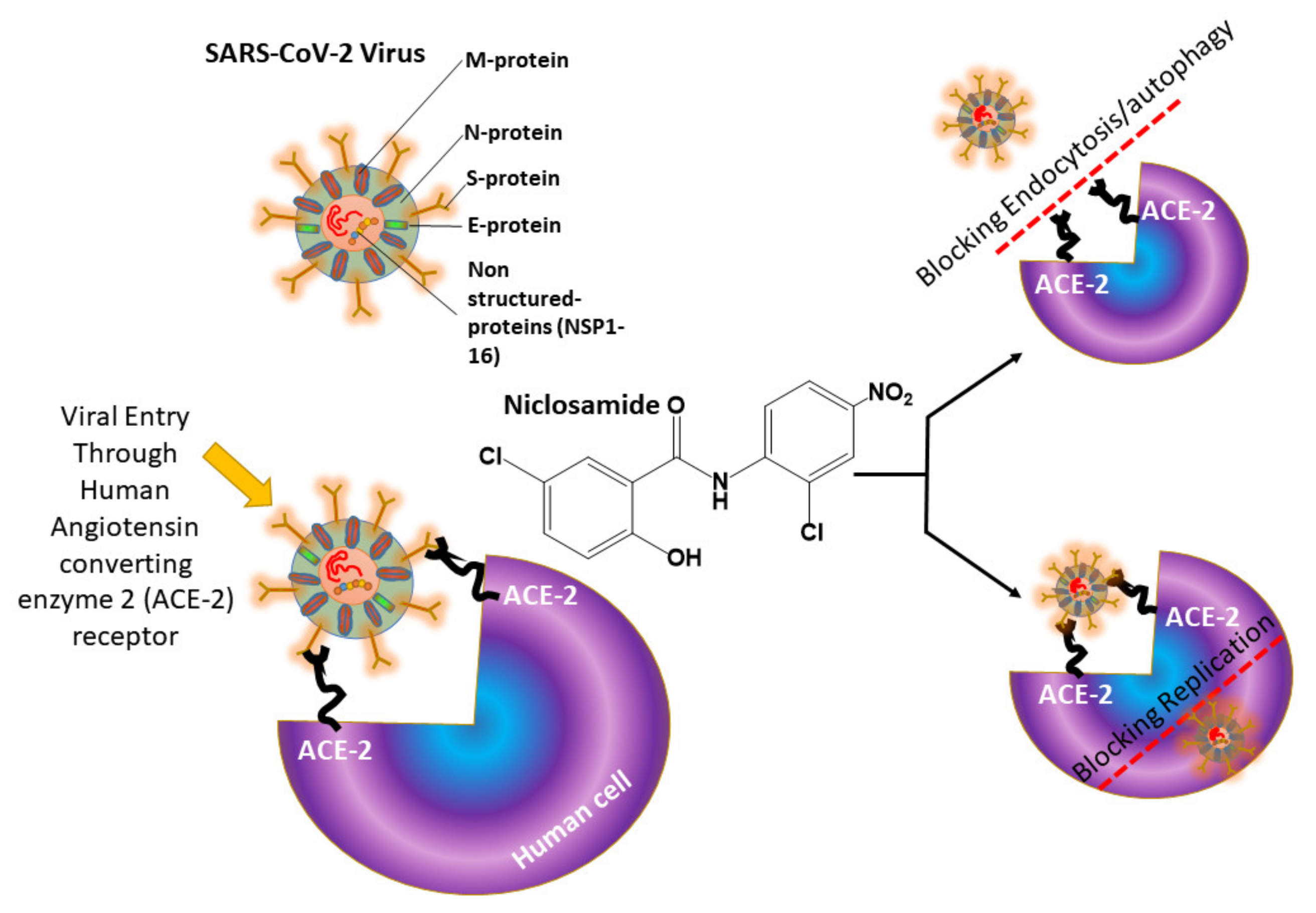 Pharmaceuticals 14 00486 sch001 Pharmaceuticals 14 00486 sch001