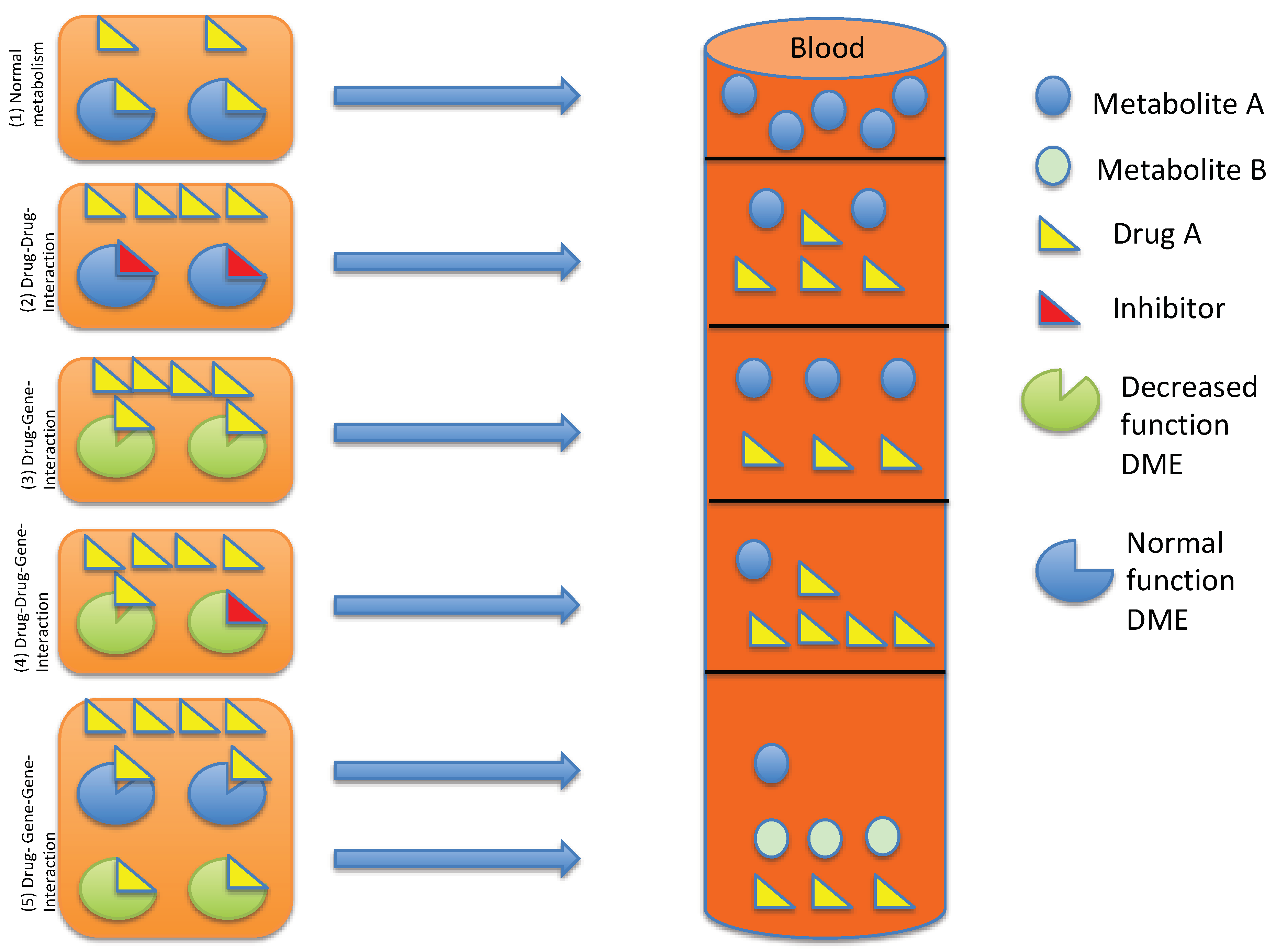 Pharmaceuticals 14 00487 g002 Pharmaceuticals 14 00487 g002
