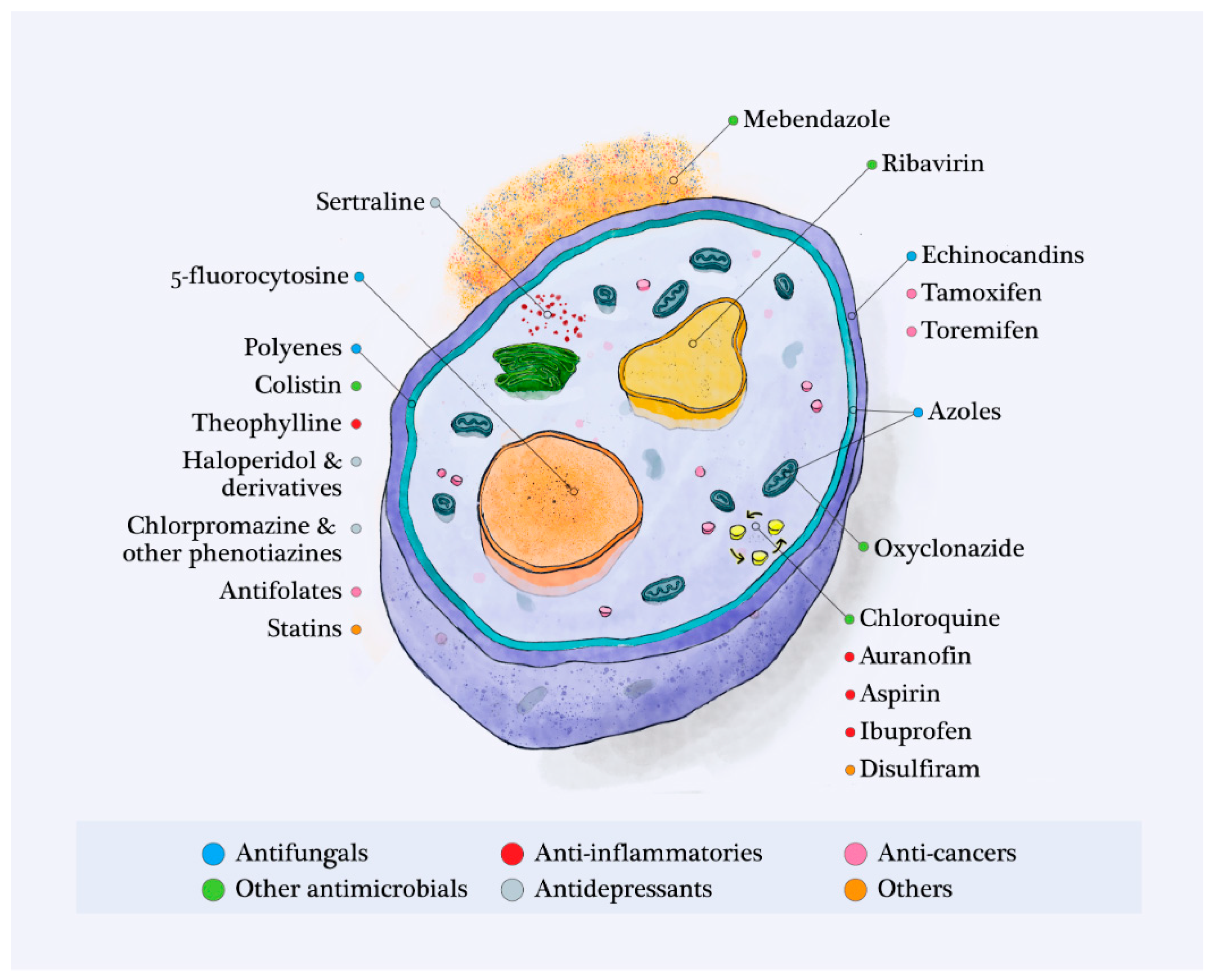 Pharmaceuticals 14 00488 g001 Pharmaceuticals 14 00488 g001