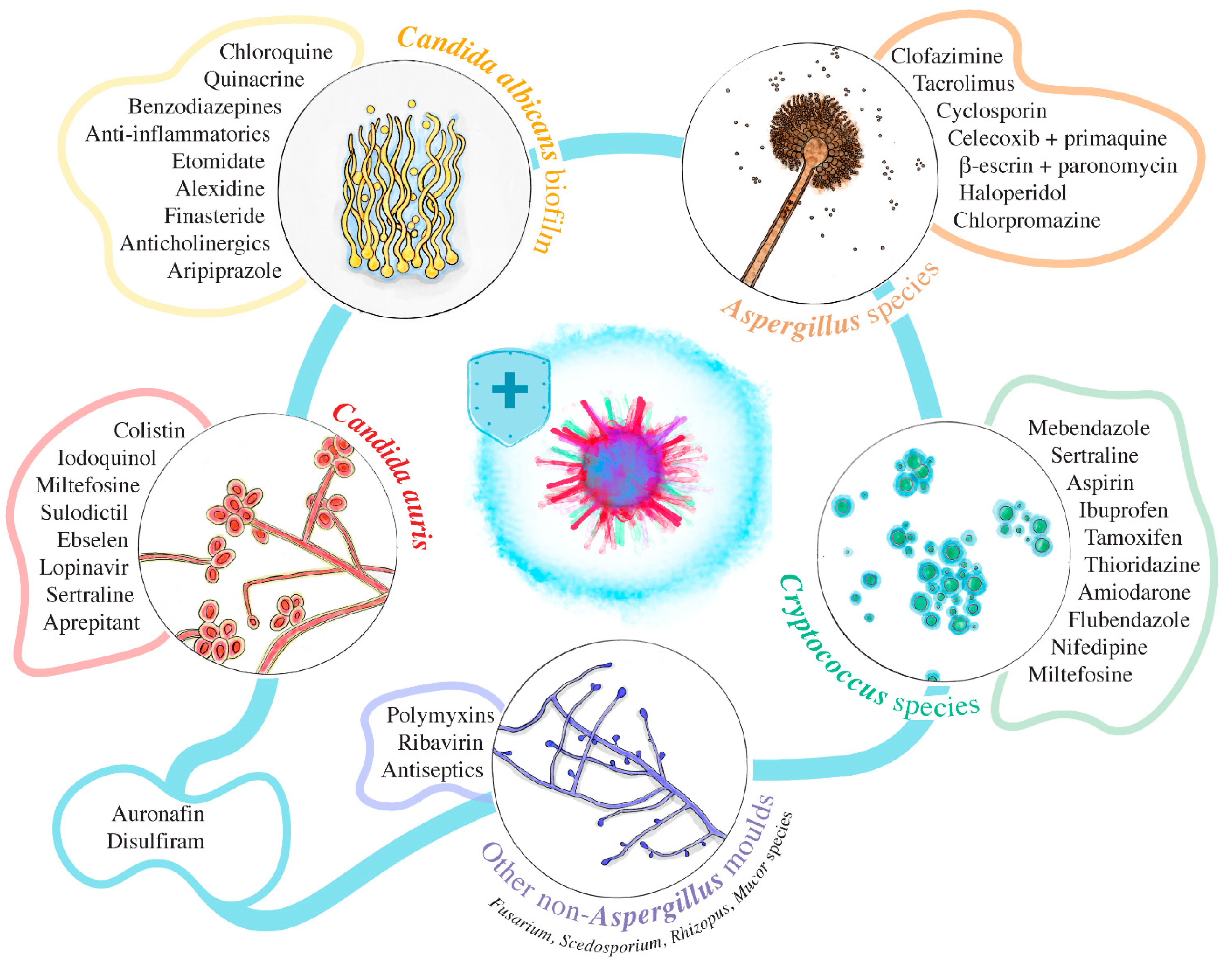 Pharmaceuticals 14 00488 g002 Pharmaceuticals 14 00488 g002