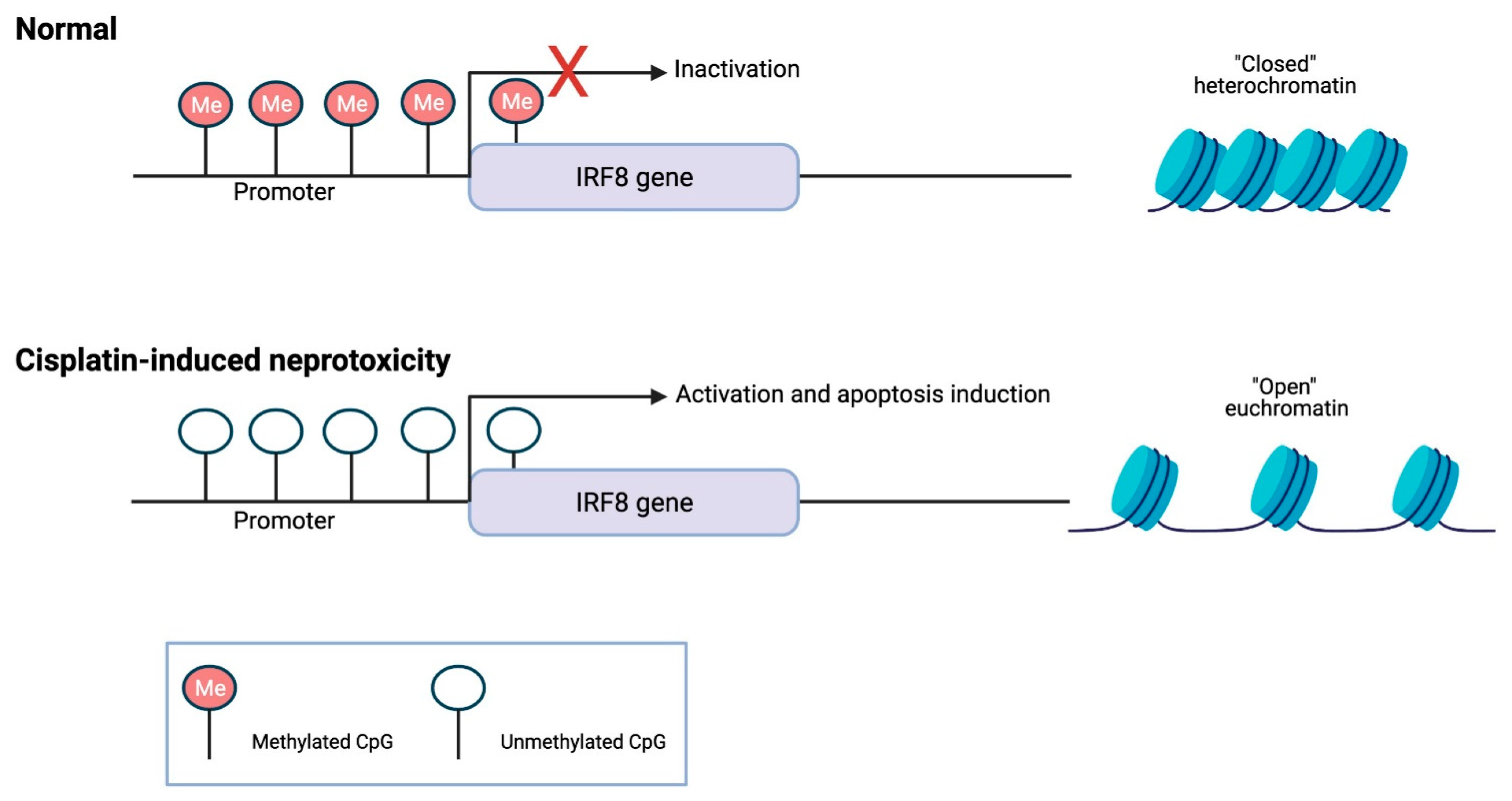 Pharmaceuticals 14 00491 g001