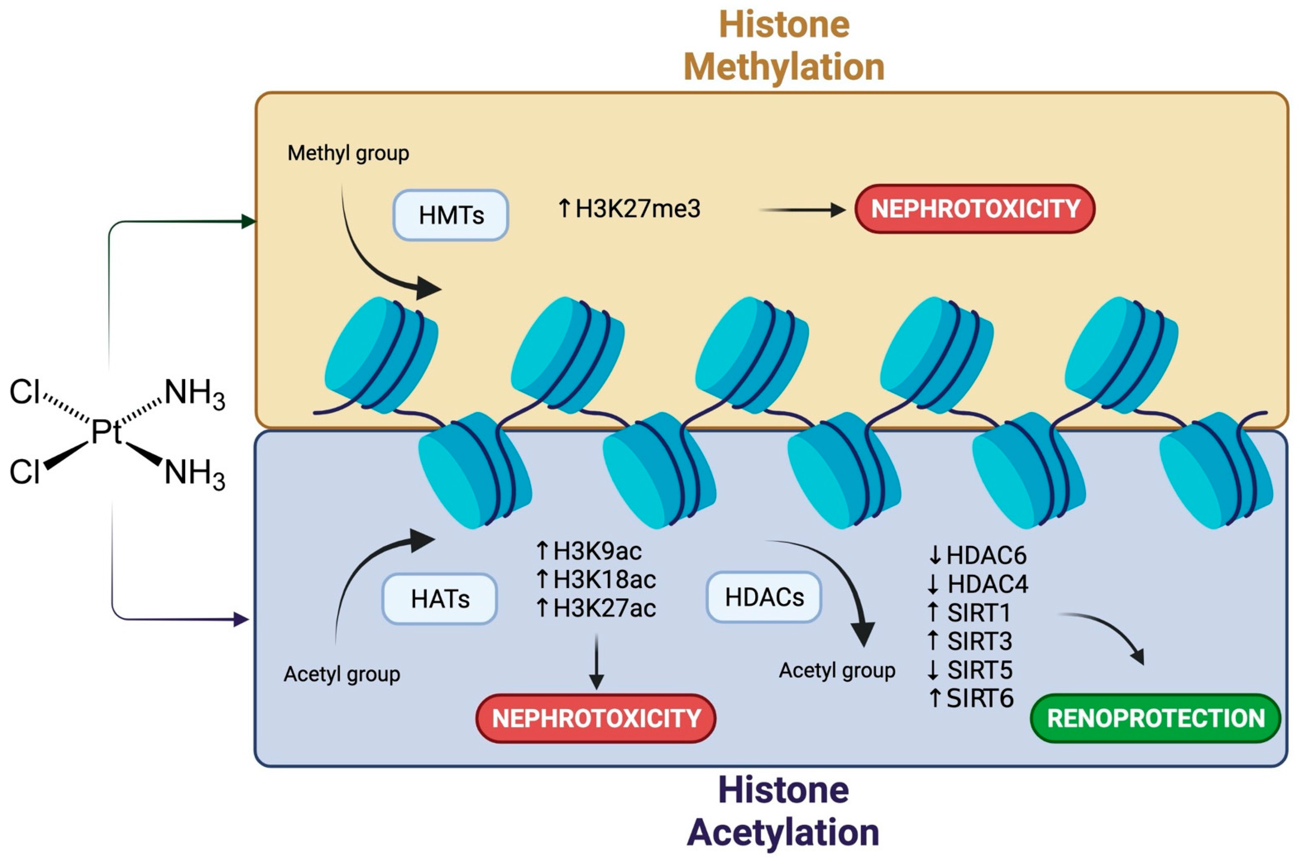 Pharmaceuticals 14 00491 g002