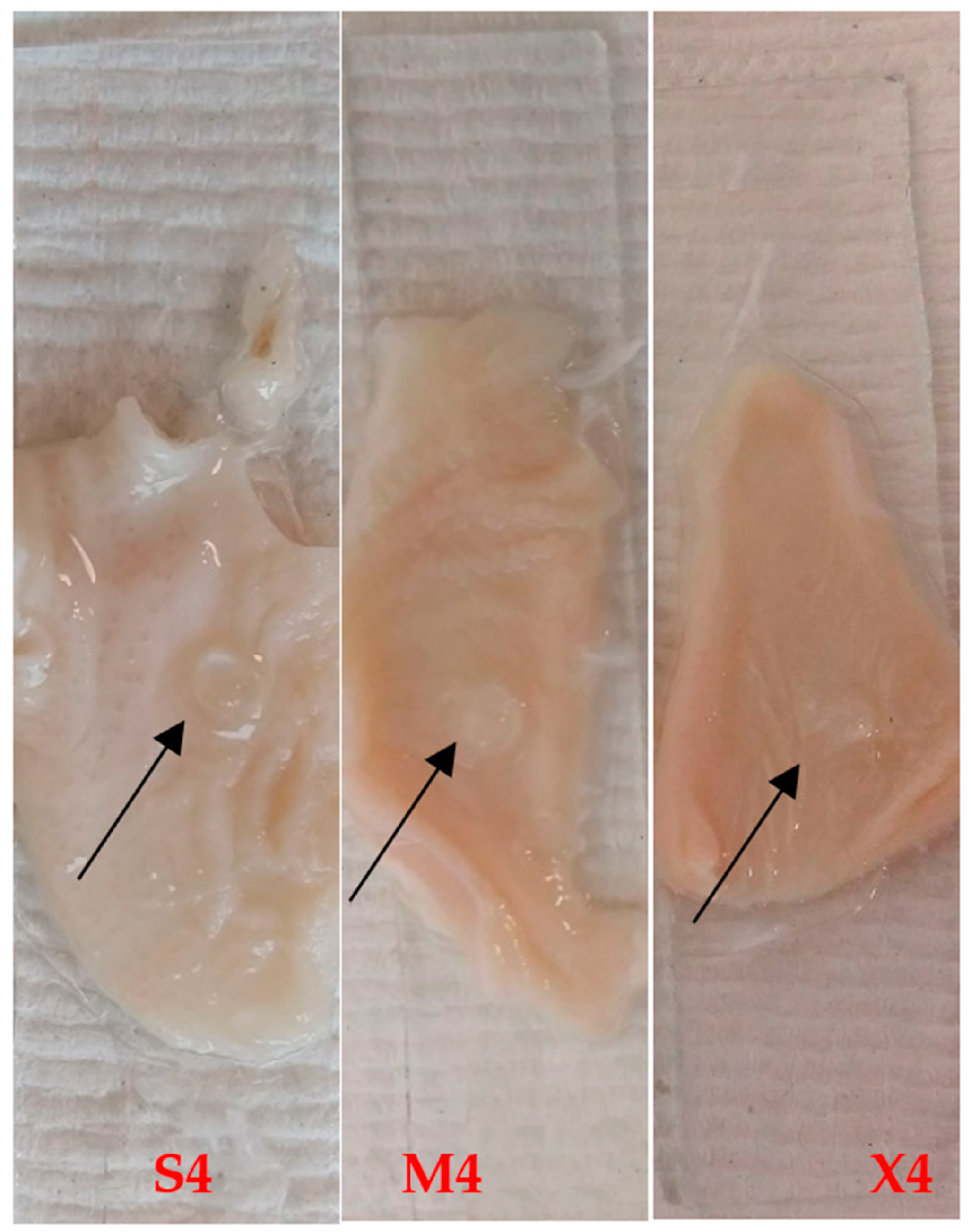 Pharmaceuticals 14 00493 g003 Pharmaceuticals 14 00493 g003