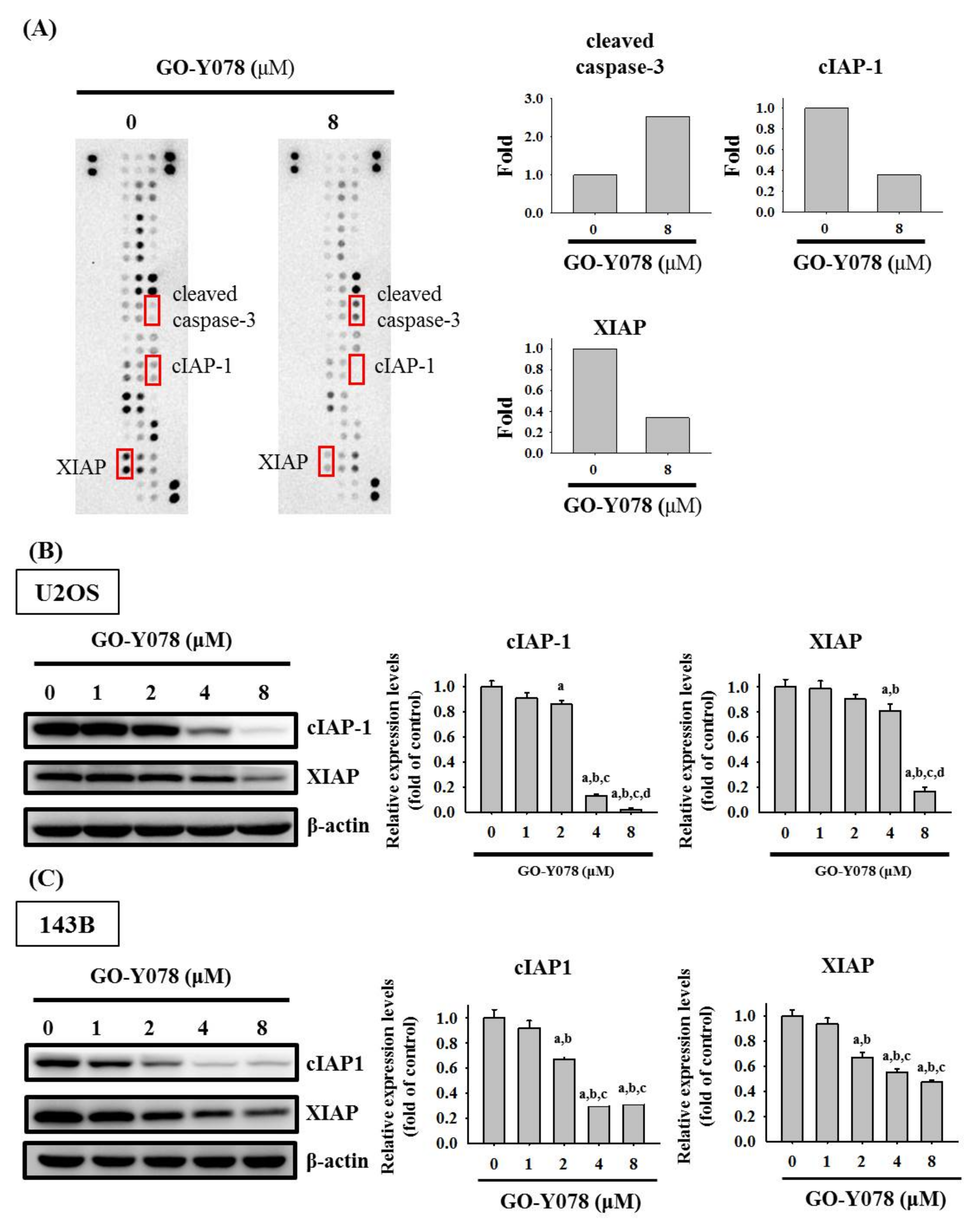 Pharmaceuticals 14 00497 g004